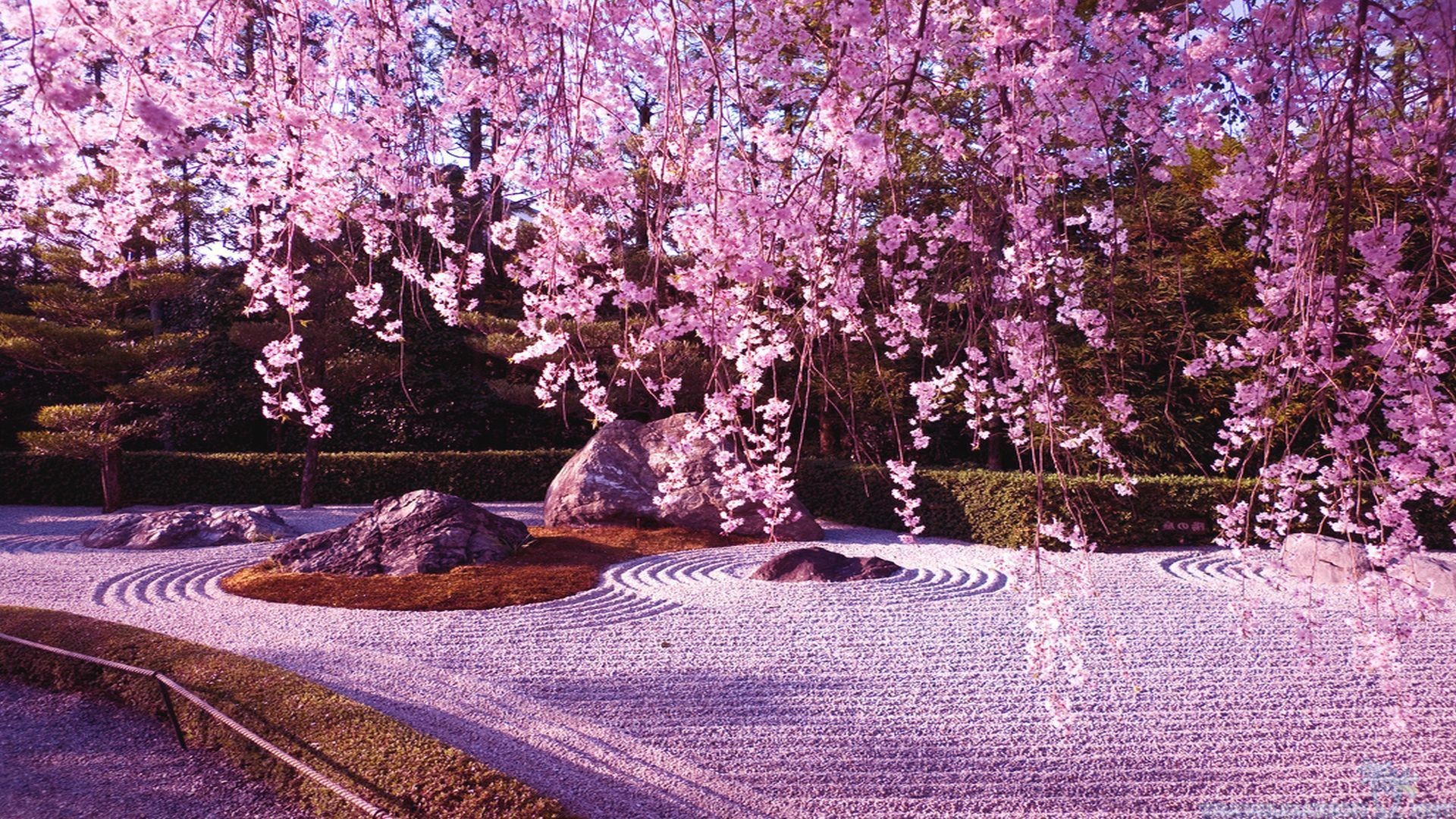 1920x1080 1024x768 Japanese Cherry Blossom Garden ...