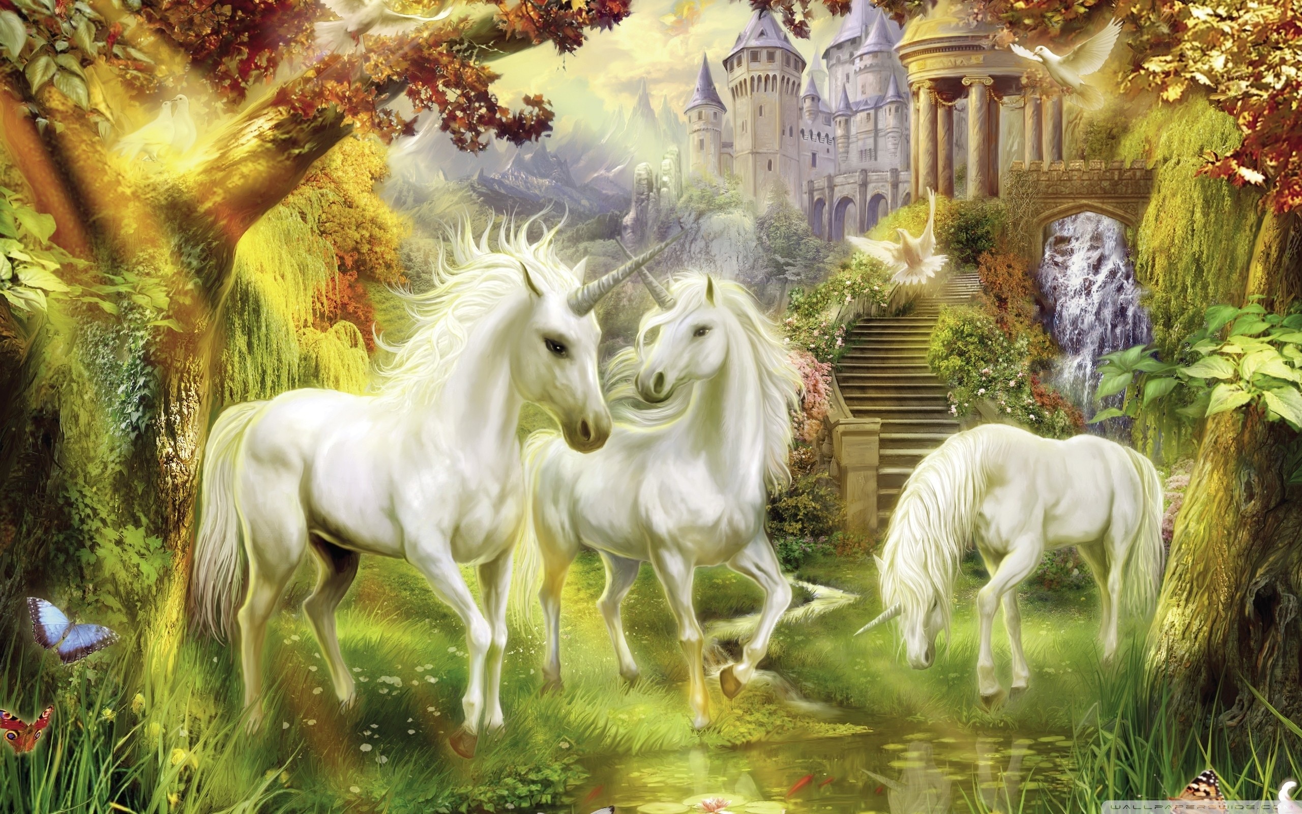 2560x1600 Fantasy Unicorns HD Wide Wallpaper for 4K UHD Widescreen desktop &  smartphone