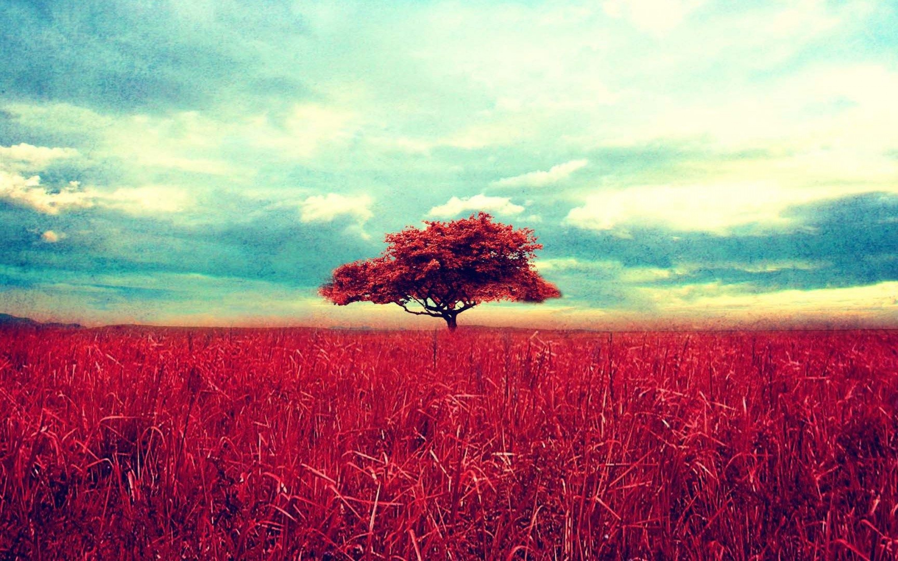 2880x1800 Retro red tree and a beautiful wheat field. Beautiful Nature Landscapes  Desktop Wallpapers. Awsome