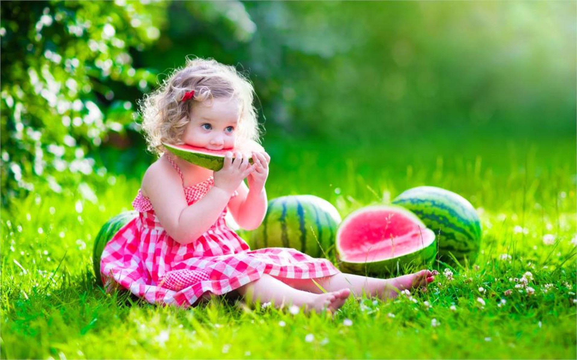 1920x1200 Summer watermelon