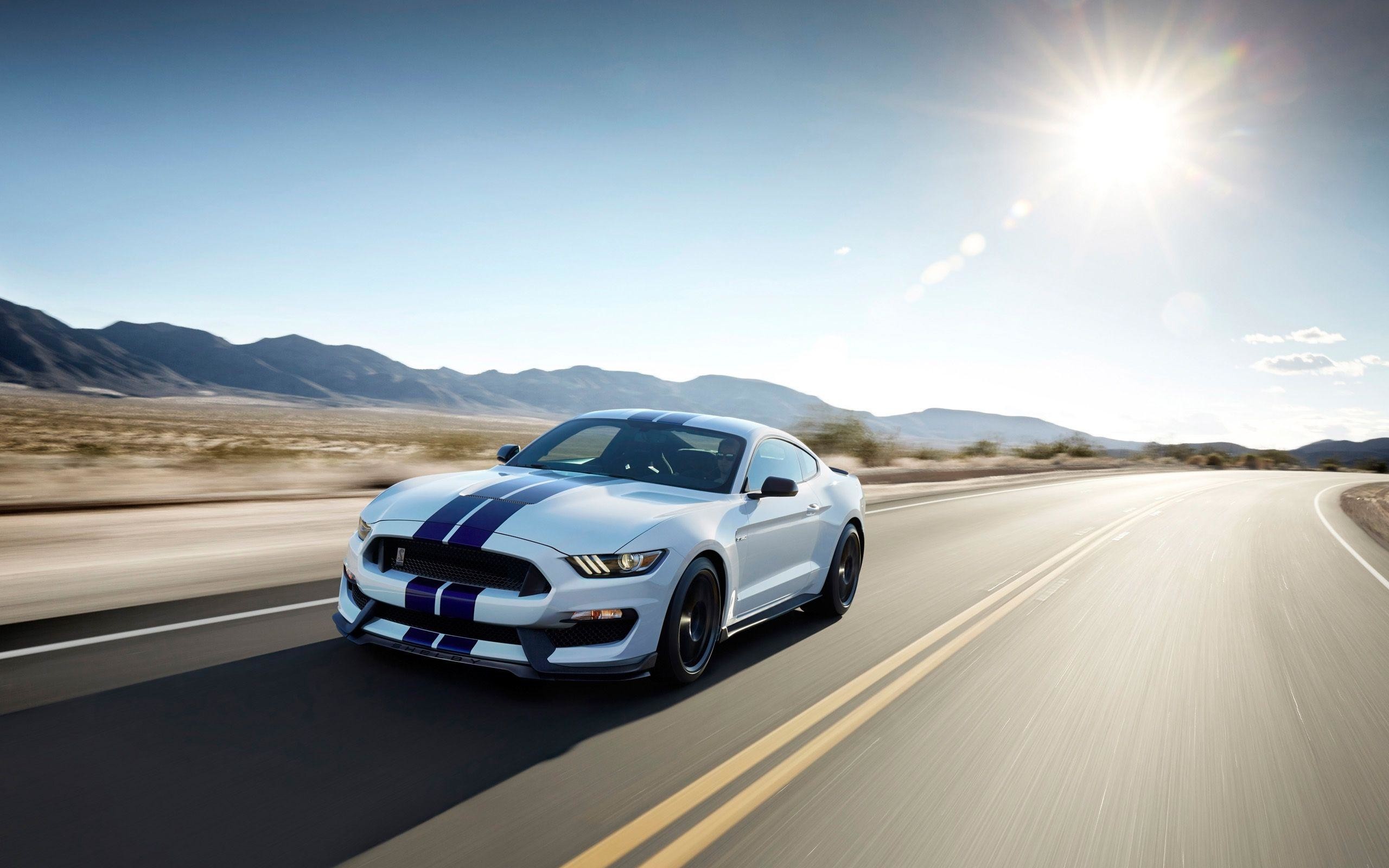 2560x1600 2015 Ford Shelby GT350 Mustang Wallpaper | HD Car Wallpapers