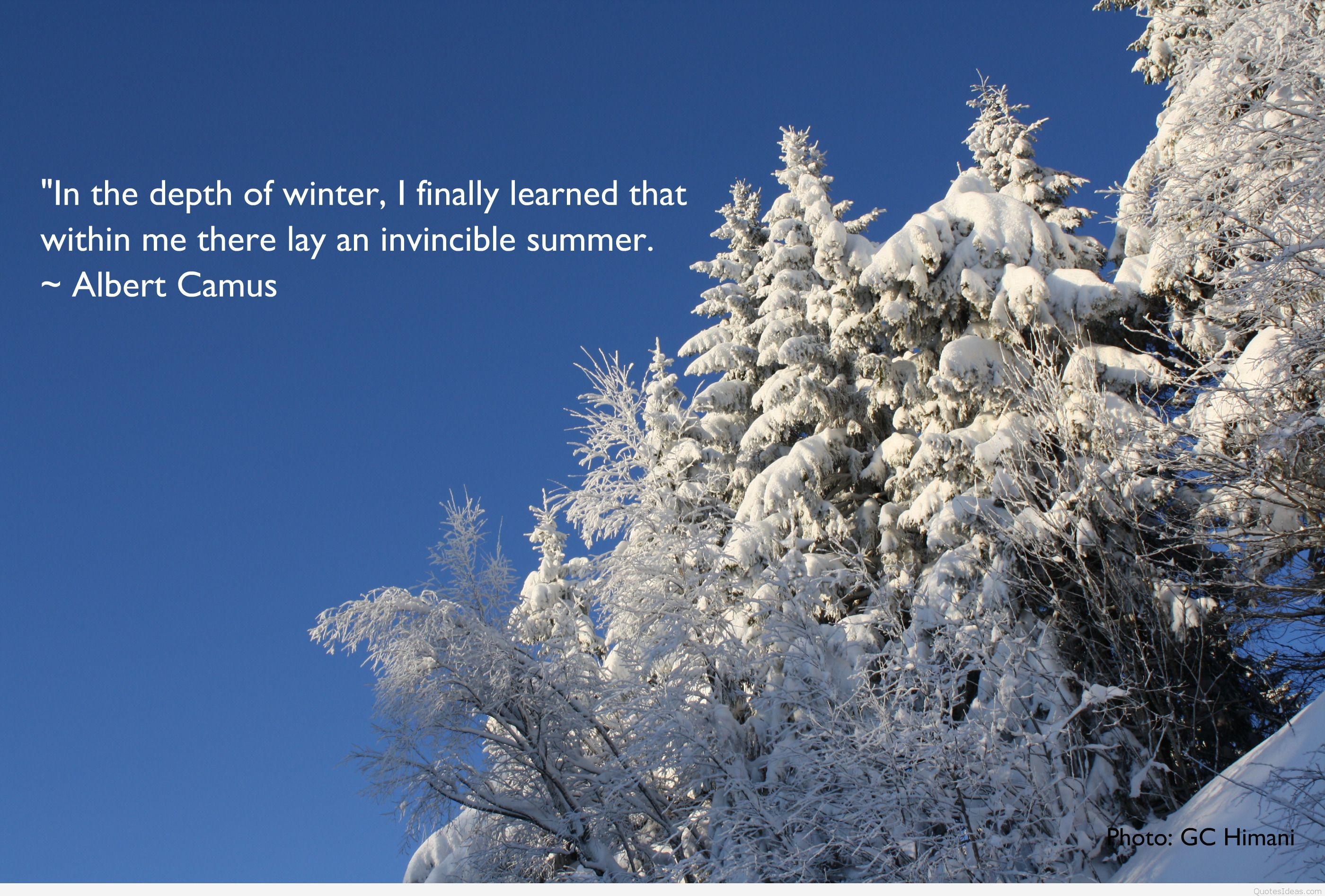 2800x1894 ... Winter Snow Funny Desktop backgrounds with quotes and sayings ...