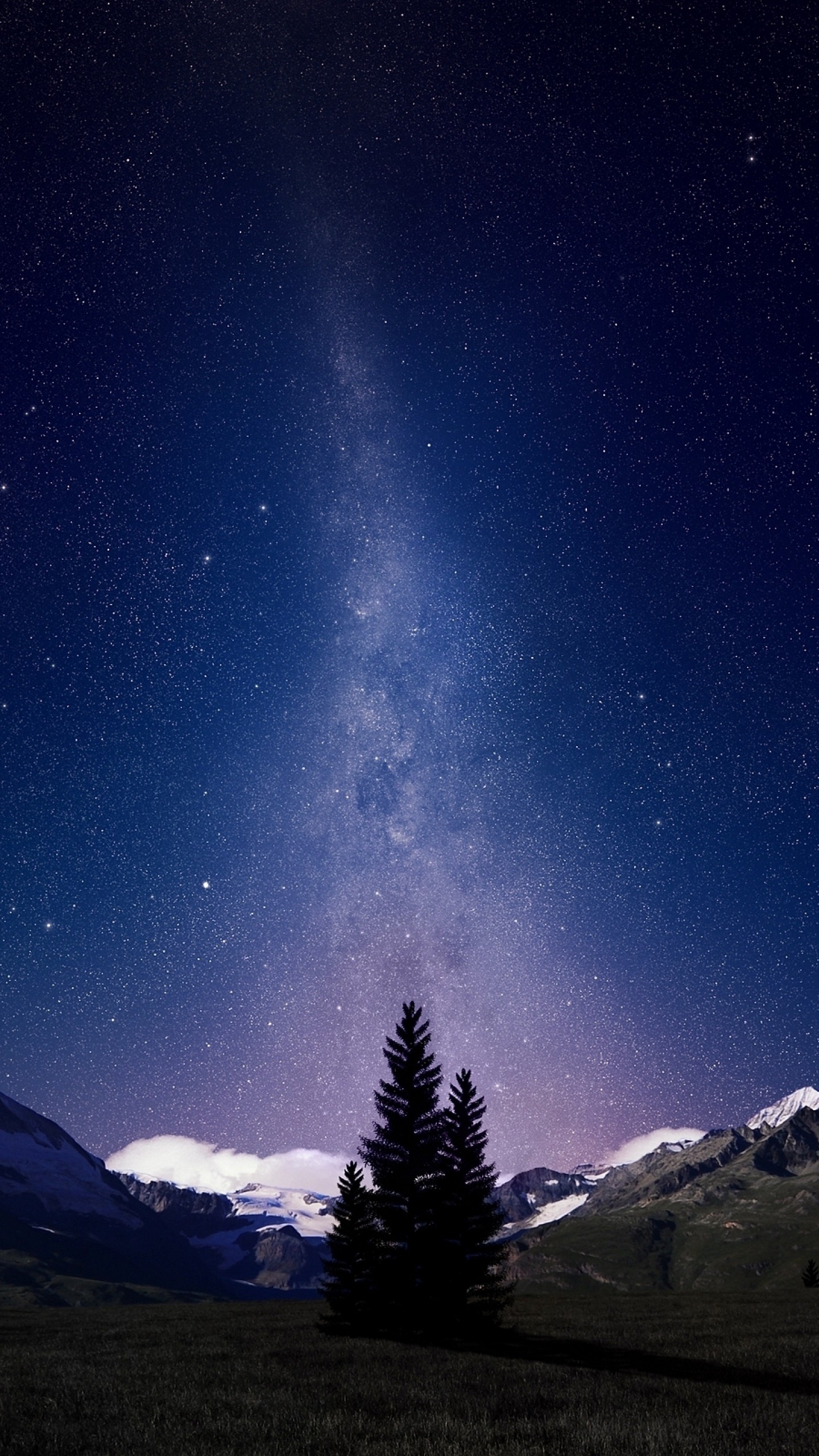 1440x2560 Preview wallpaper milky way, august, sky, fir-trees, trees, night