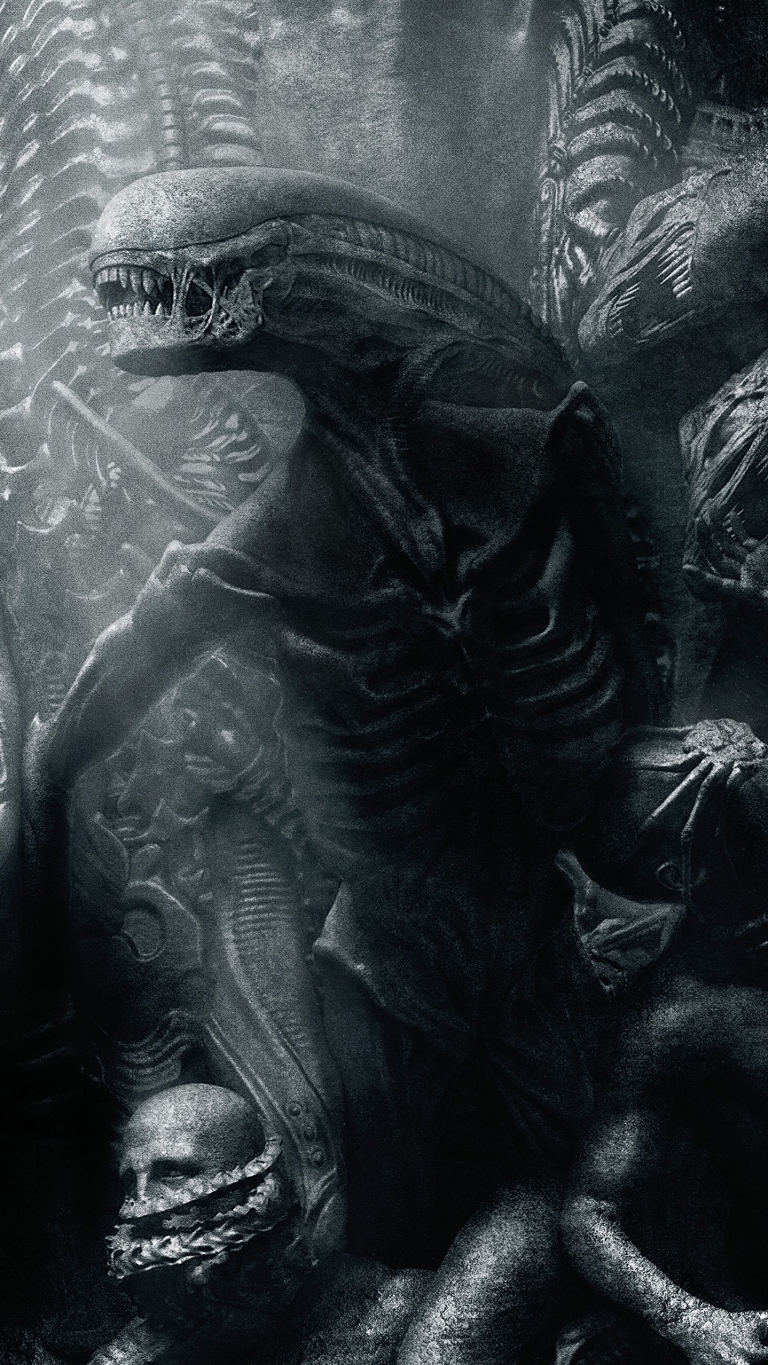 1080x1920 Movie Alien: Covenant Alien. Wallpaper 674832