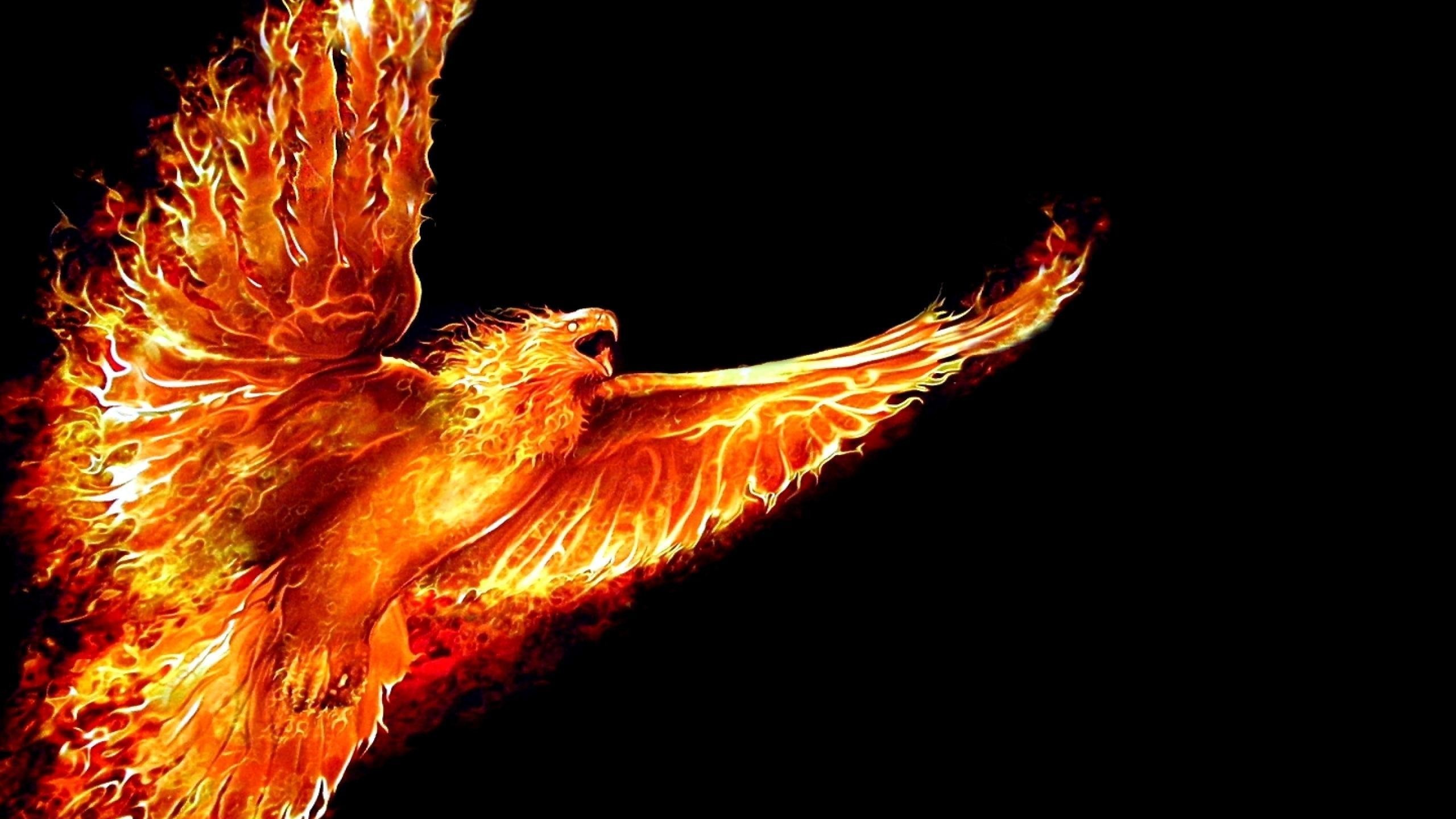 2560x1440 Cool wallpaper bird phoenix jpg  Cool phoenix bird