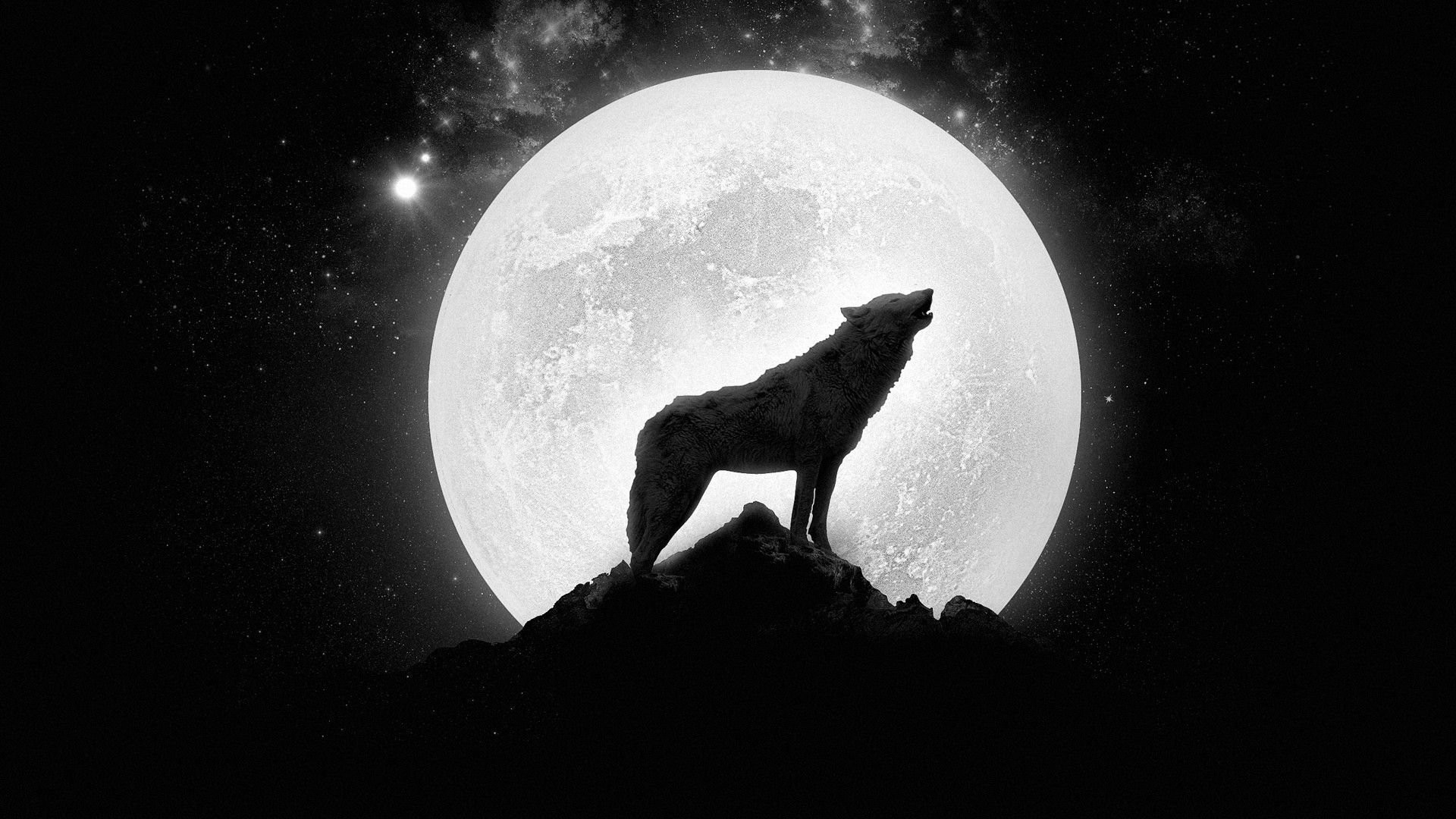 1920x1080 Wolf Howling At The Full Moon ...