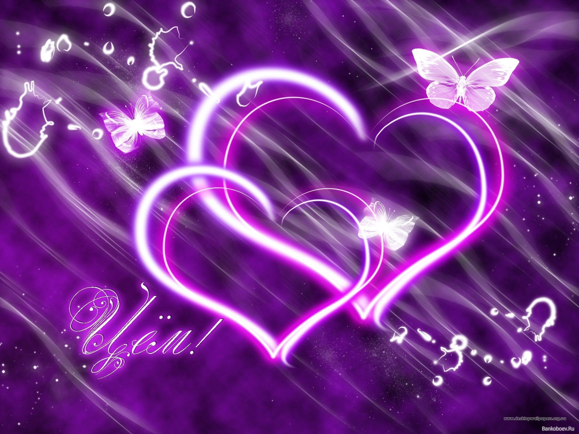 2000x1500 1920x1440 pixel Desktop Wallpapers Cute Valentine Purple Hearts Wallpaper
