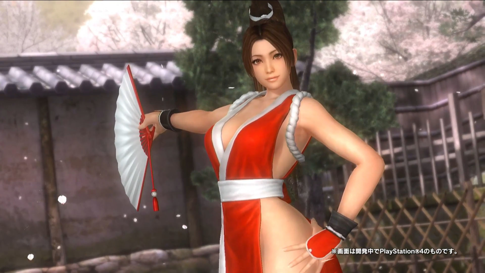 1920x1080 Amazing Dead Or Alive 5 Pictures & Backgrounds