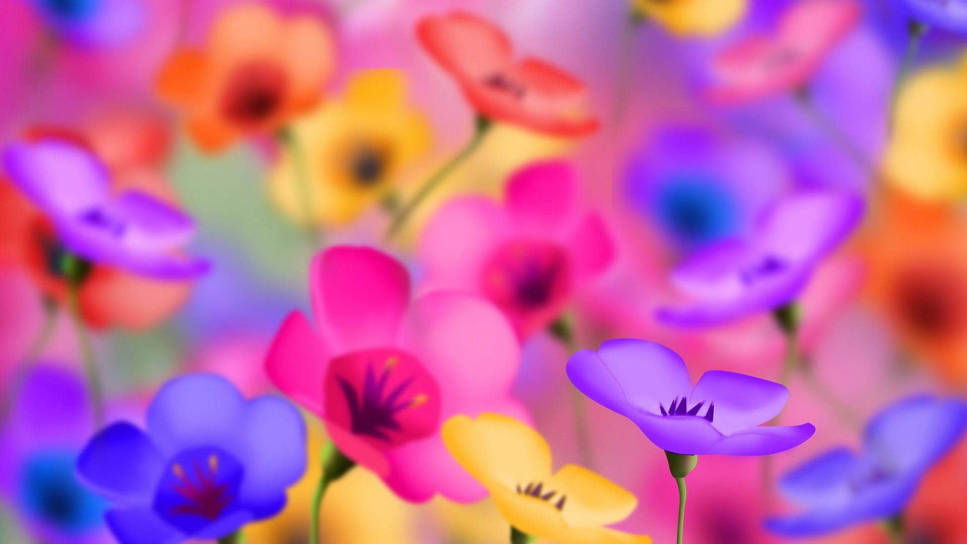 1920x1080 Bright Colored Flowers Wallpaper 27742
