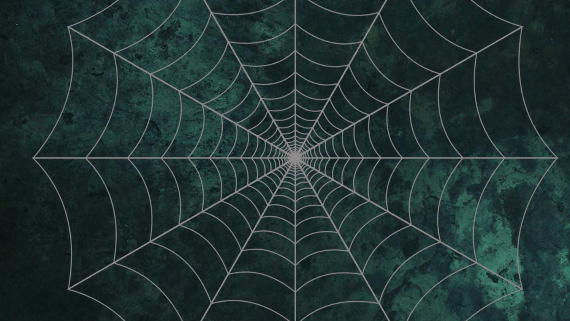 1920x1080 Halloween Spider Web Desktop Wallpaper 34780