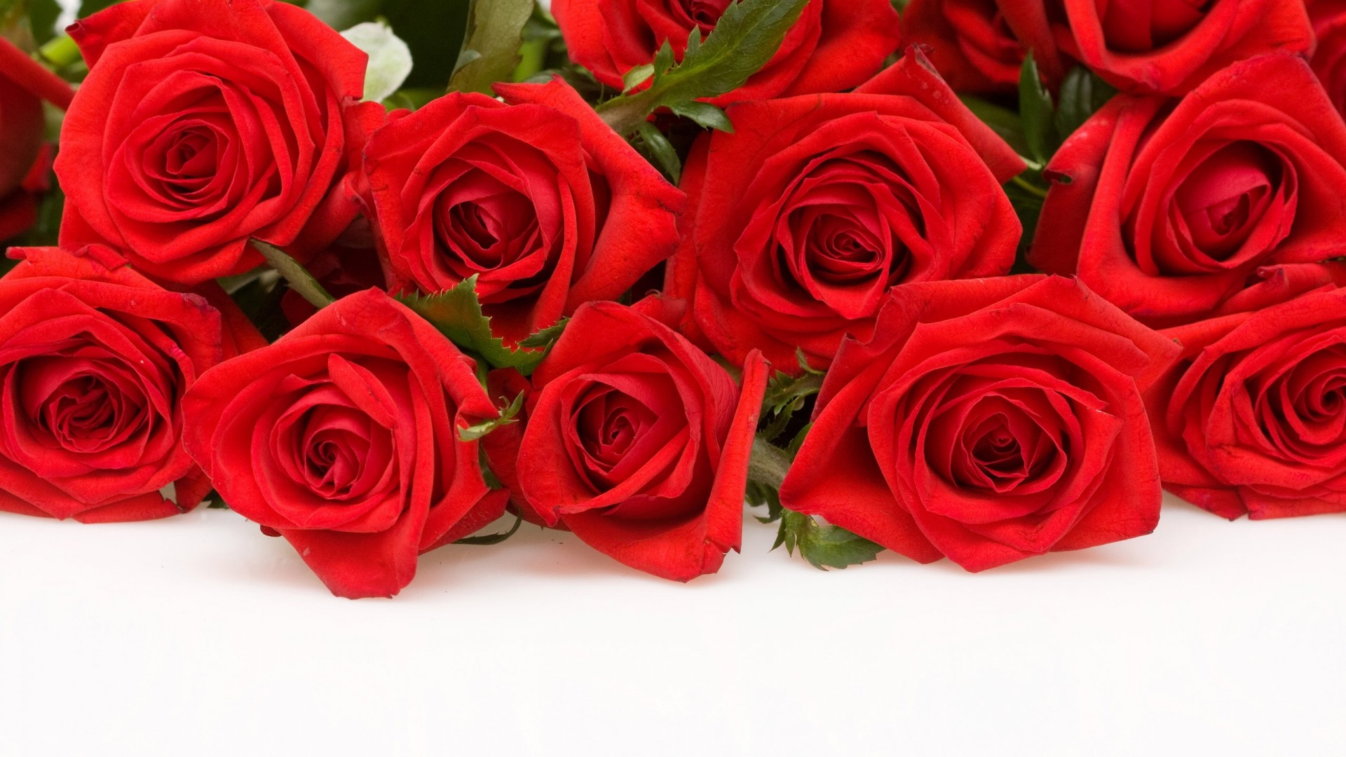 1920x1080 Full HD 1080p Red Rose Wallpapers
