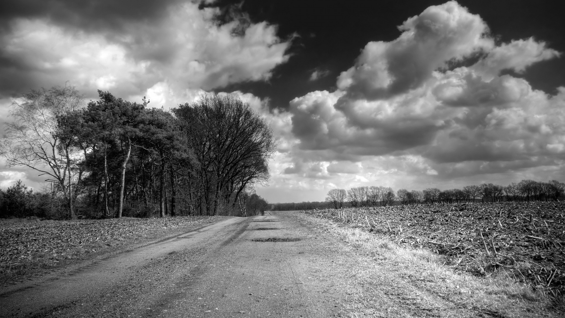 1920x1080  Wallpaper road, country, black-and-white, trees, clouds,