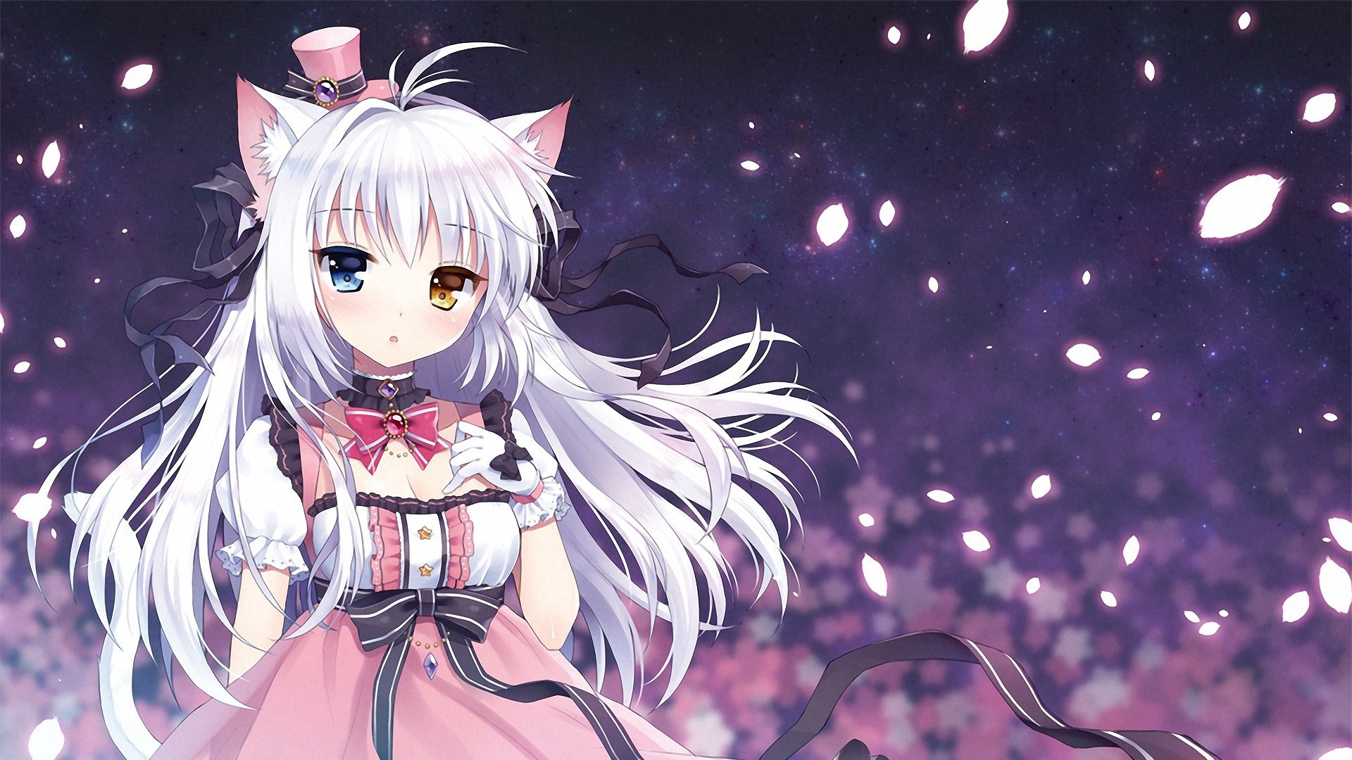 1920x1080 Anime Girl And Cat HD Wide Wallpaper for Widescreen (73 Wallpapers) – HD  Wallpapers