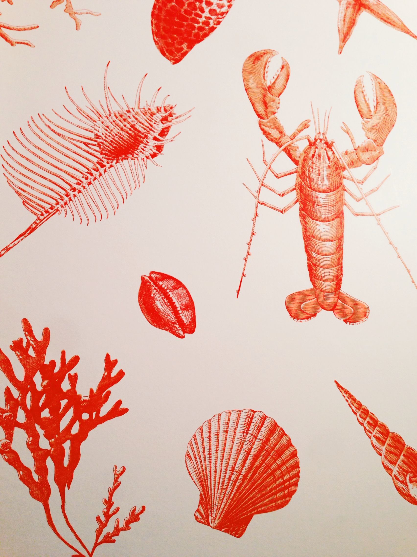 1704x2272 lobster wallpaper on nantucket.