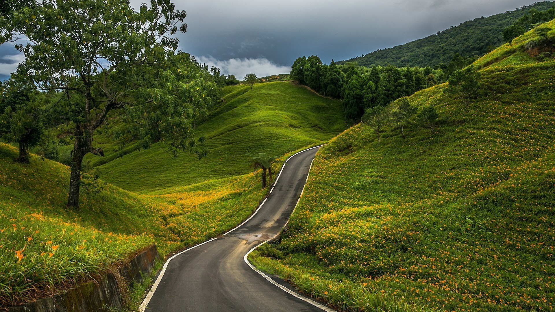 1920x1080 road through the green hills nature.