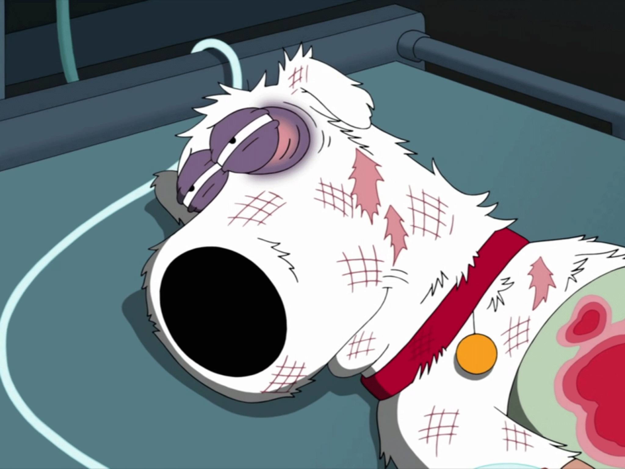 2048x1536 Seth MacFarlane reveals why he killed Brian Griffin in Family Guy | The  Independent