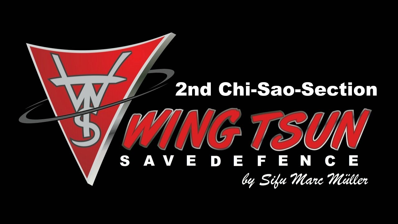 2560x1440 "2nd Chi-Sao-Section" - by Wing Tsun Savedefence