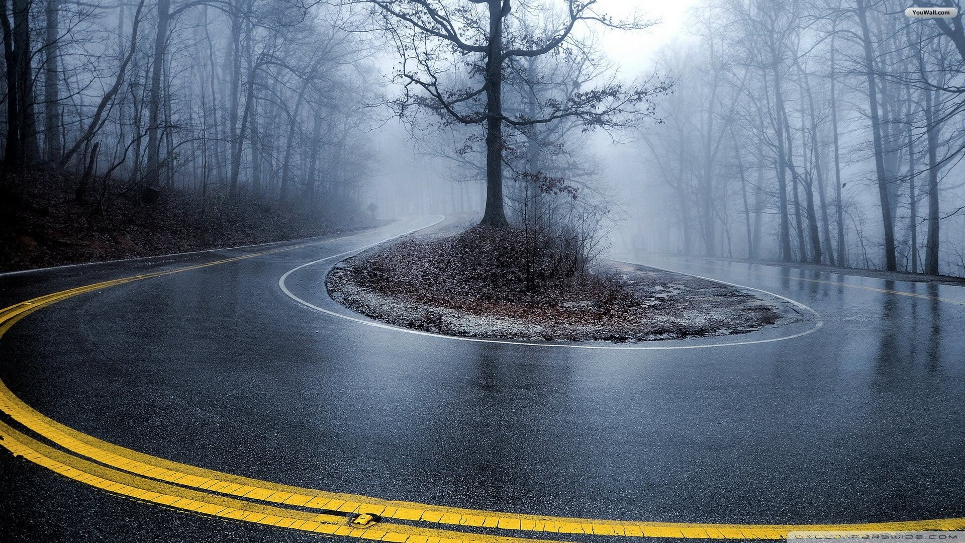 1920x1080 Foggy Forest Road Wallpaper