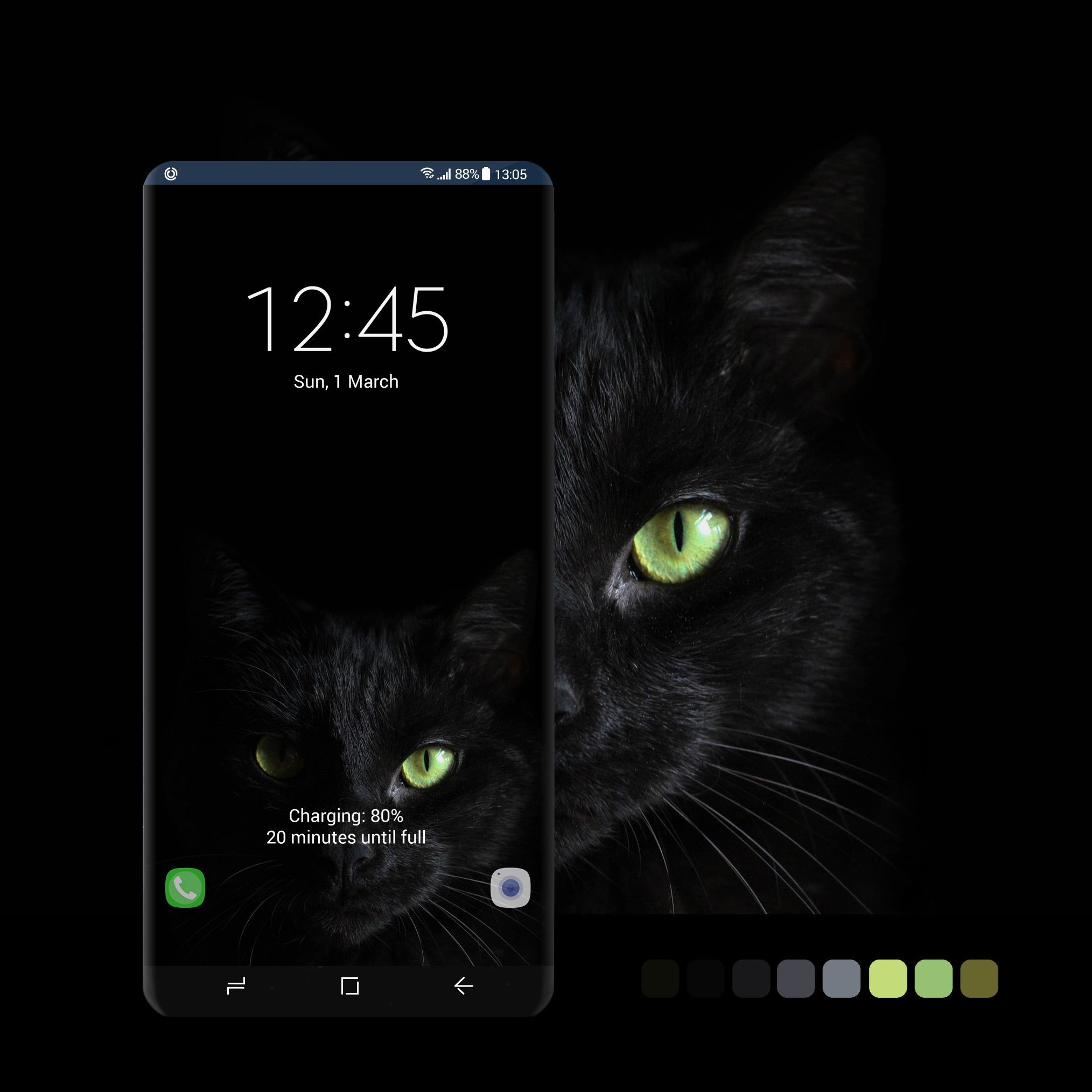 2028x2028 Black Cat wallpaper #wallpaper, #android, #phone, #smartphone, #