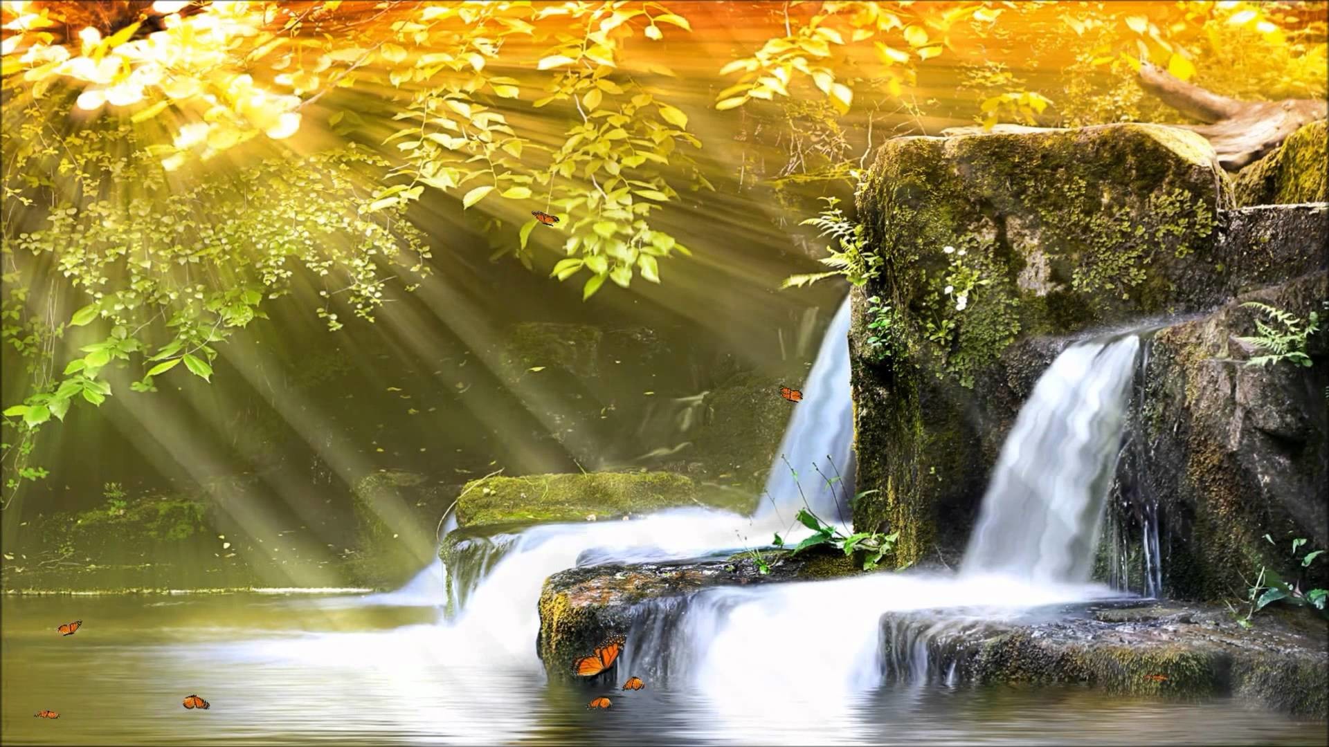 zoom background waterfall