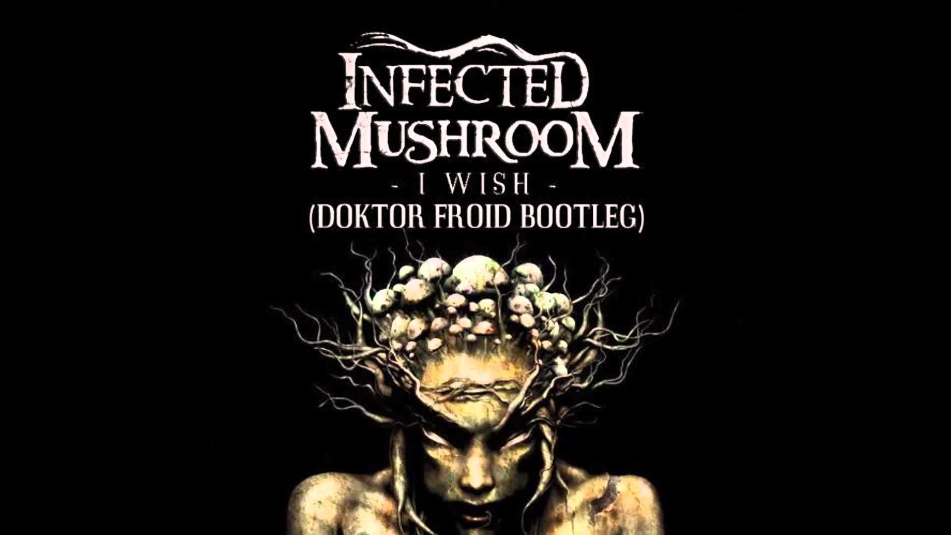 1920x1080 Infected Mushroom - I Wish (Doktor Froid Bootleg)