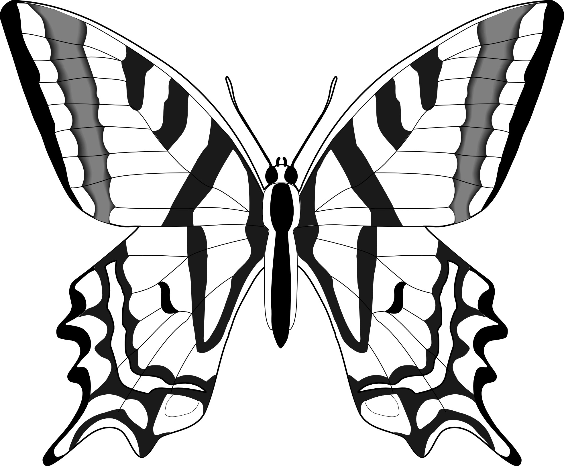 1969x1626 Black butterfly clipart image