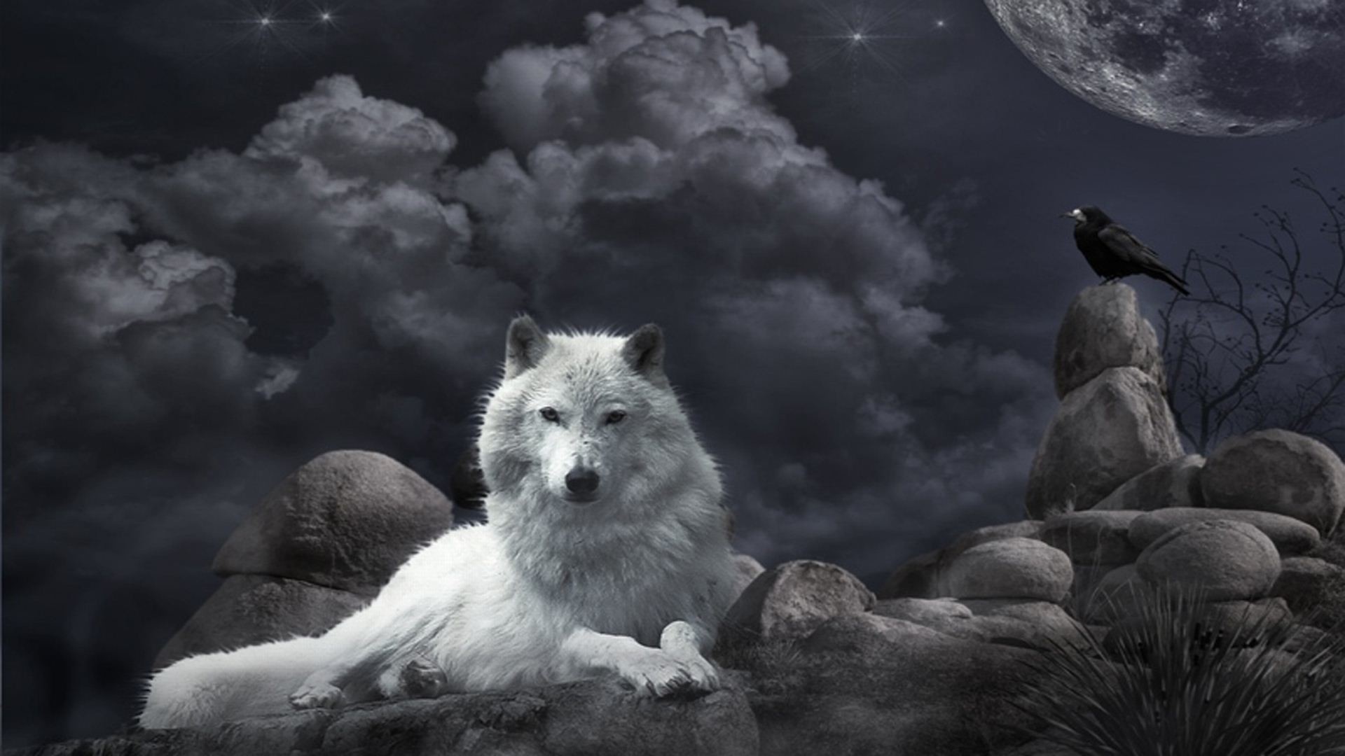 1920x1080 http://www.freehdimages.in/uploads/large/desktop-pics-of-a-baby-wolf- wallpaper.jpg | wolf | Pinterest | Wolf wallpaper, Fantasy wolf and  Wallpaper