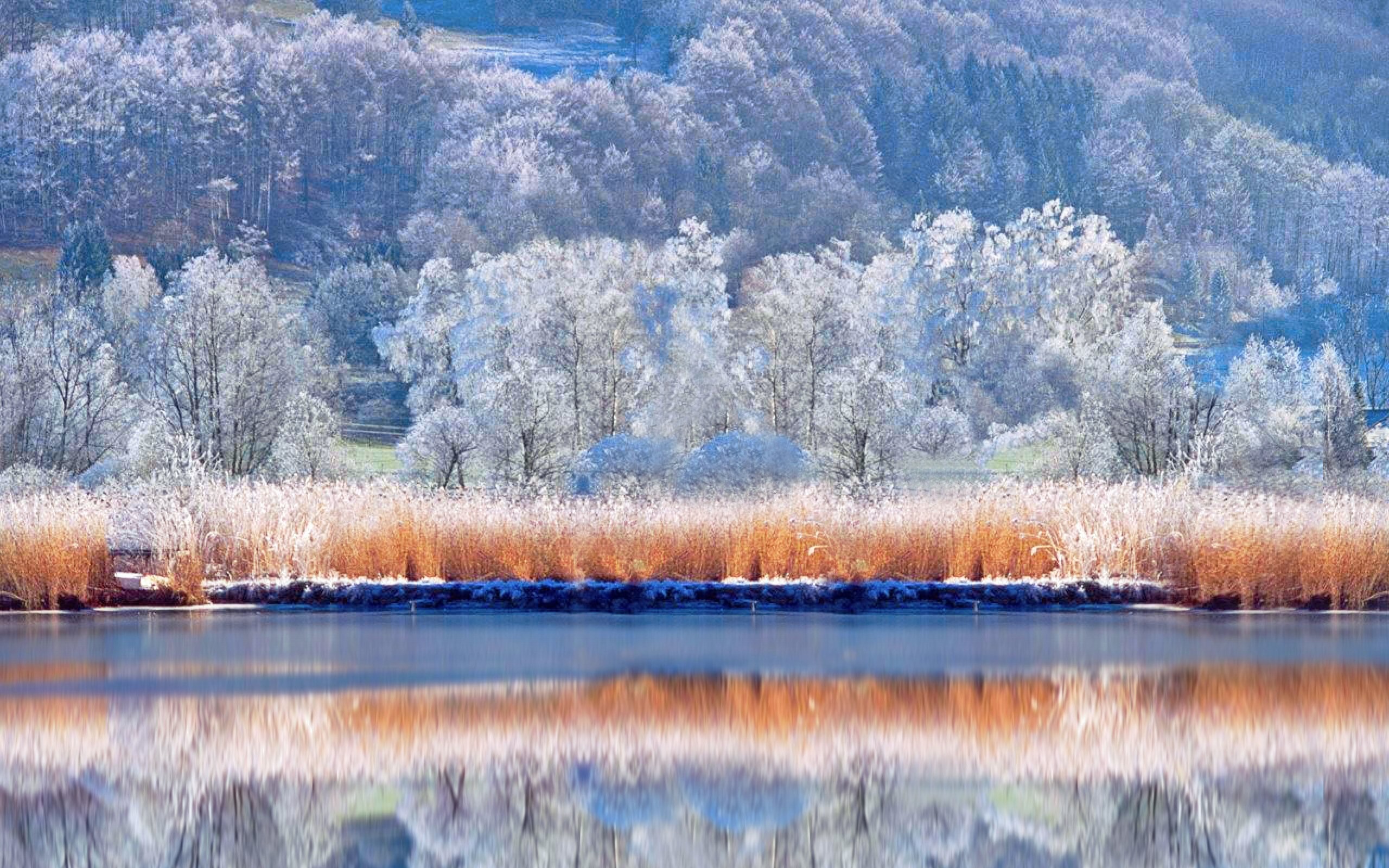 2560x1600 Earth - Winter Nature Scenic Reflection Snow Pastel Wallpaper