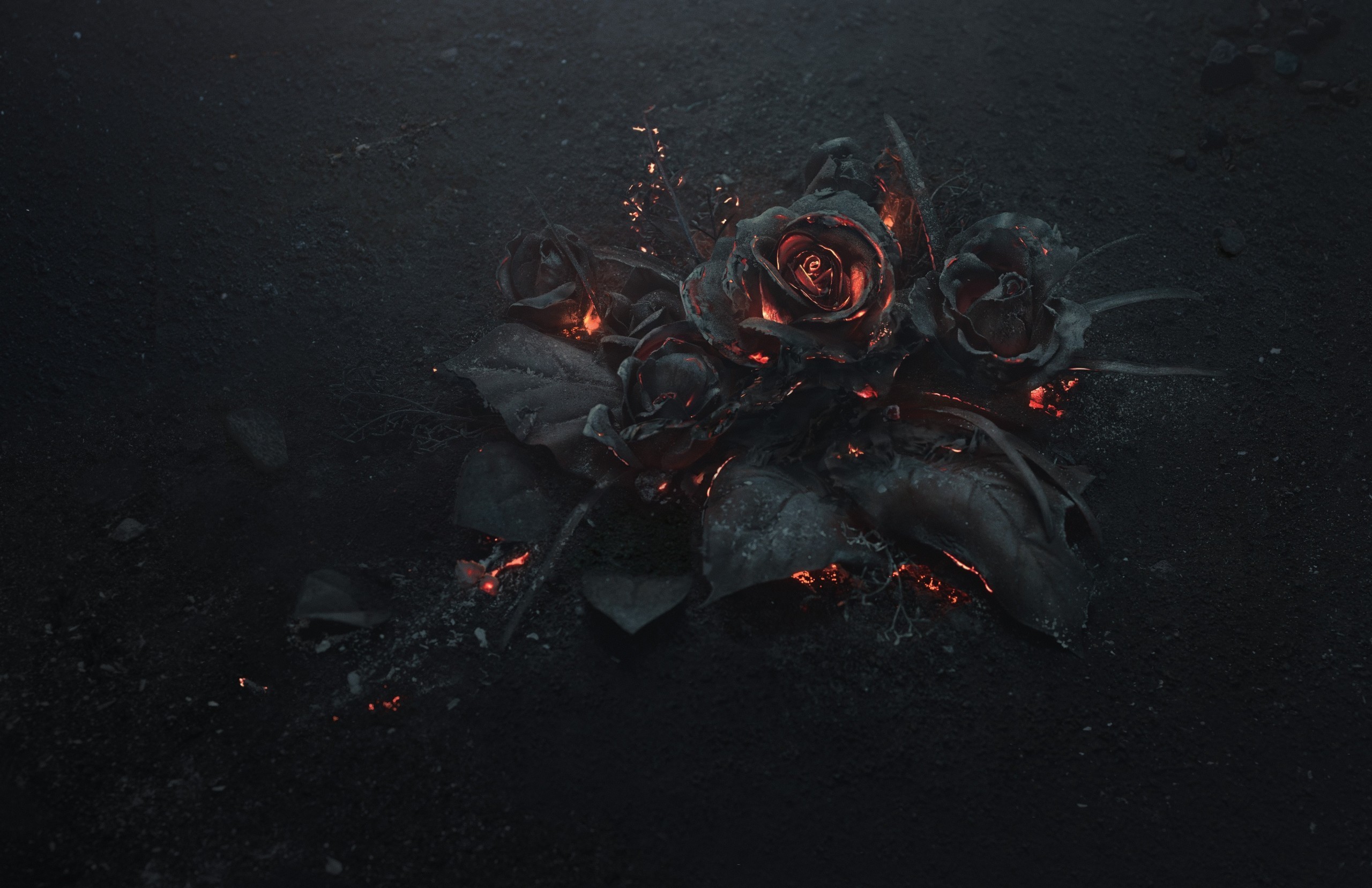 2560x1656 Rose Ashes, Fire, Black, Dark Theme