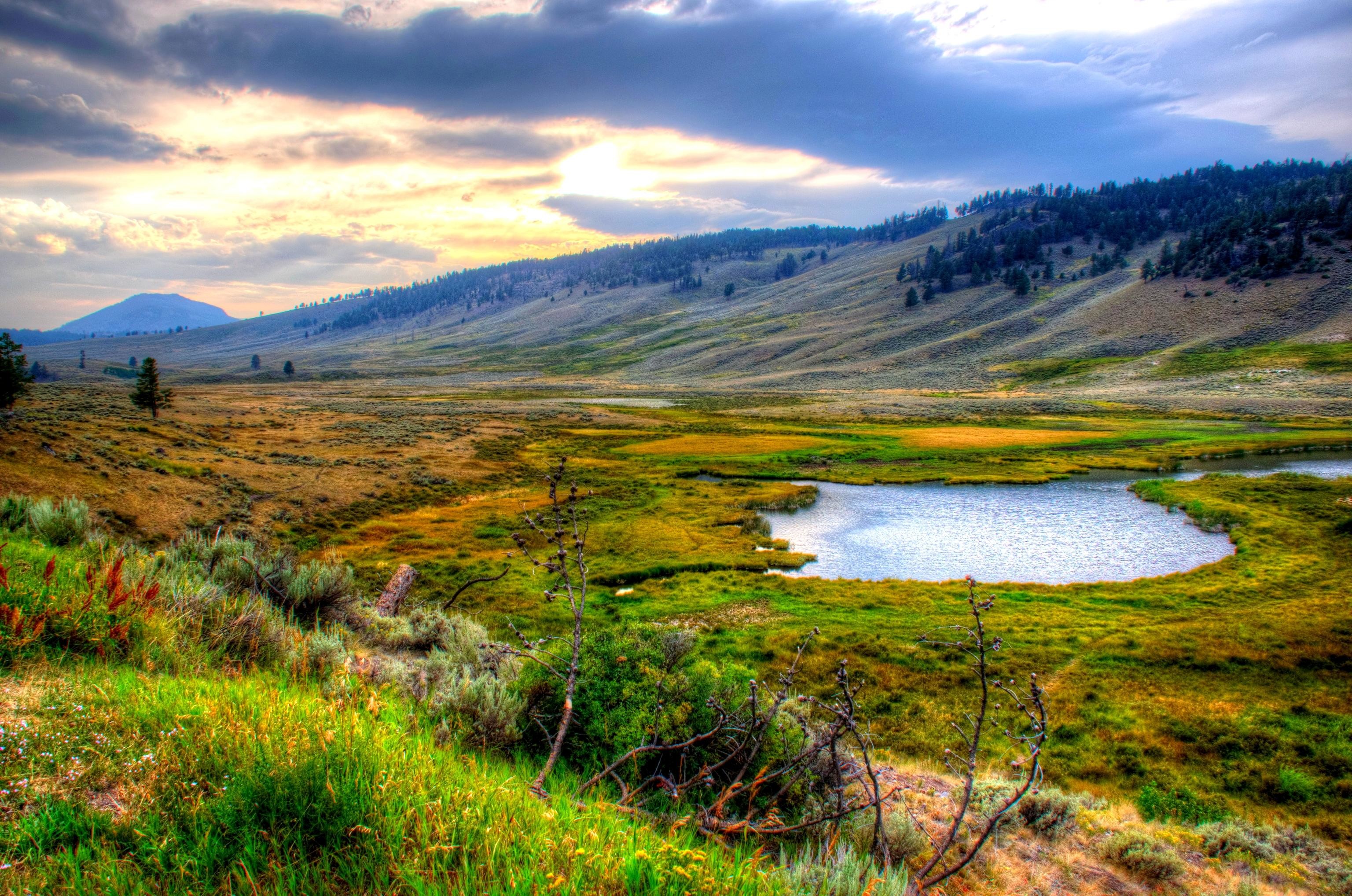 Nature Yellowstone National Park HD Wallpaper
