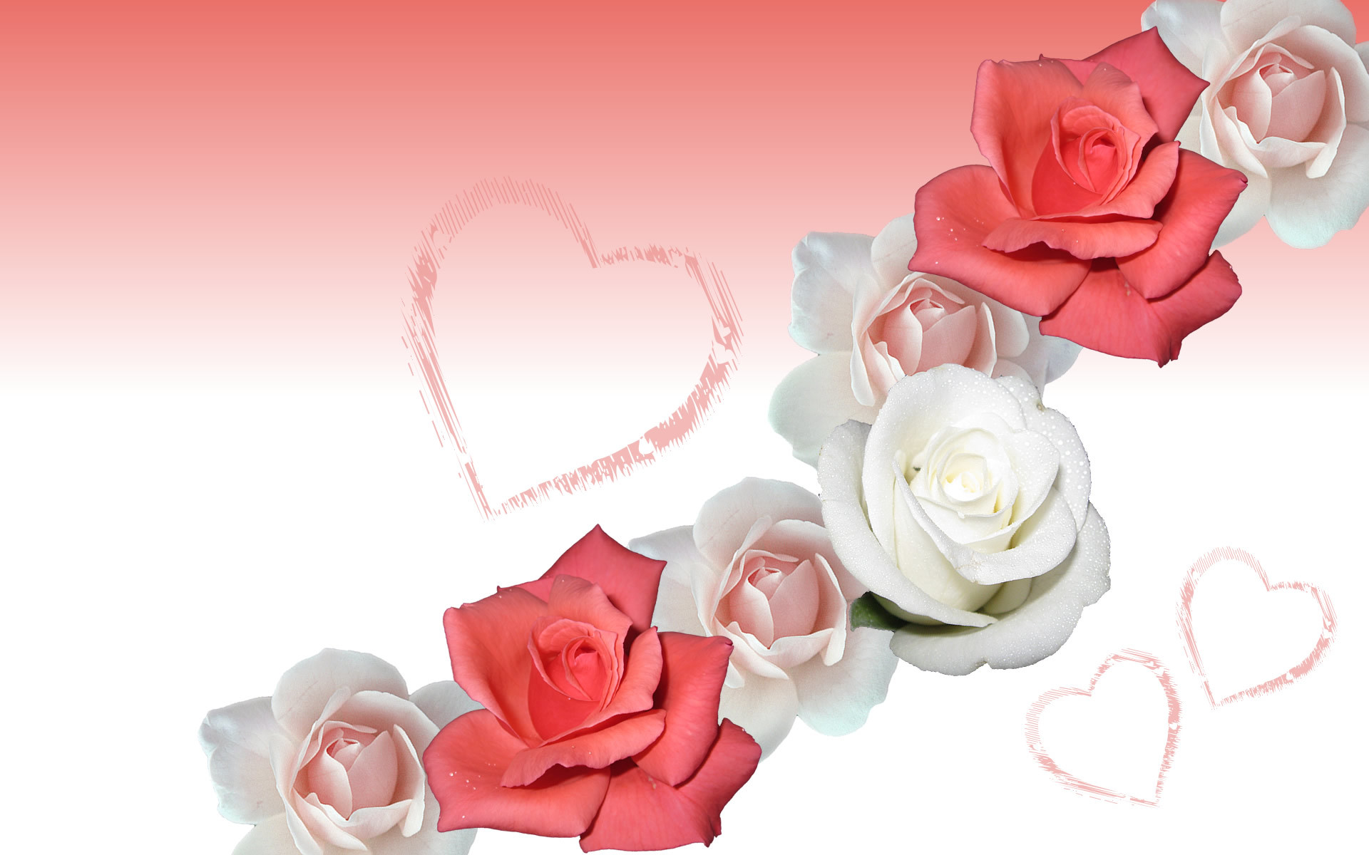 1920x1200 Rose Flowers Wallpapers