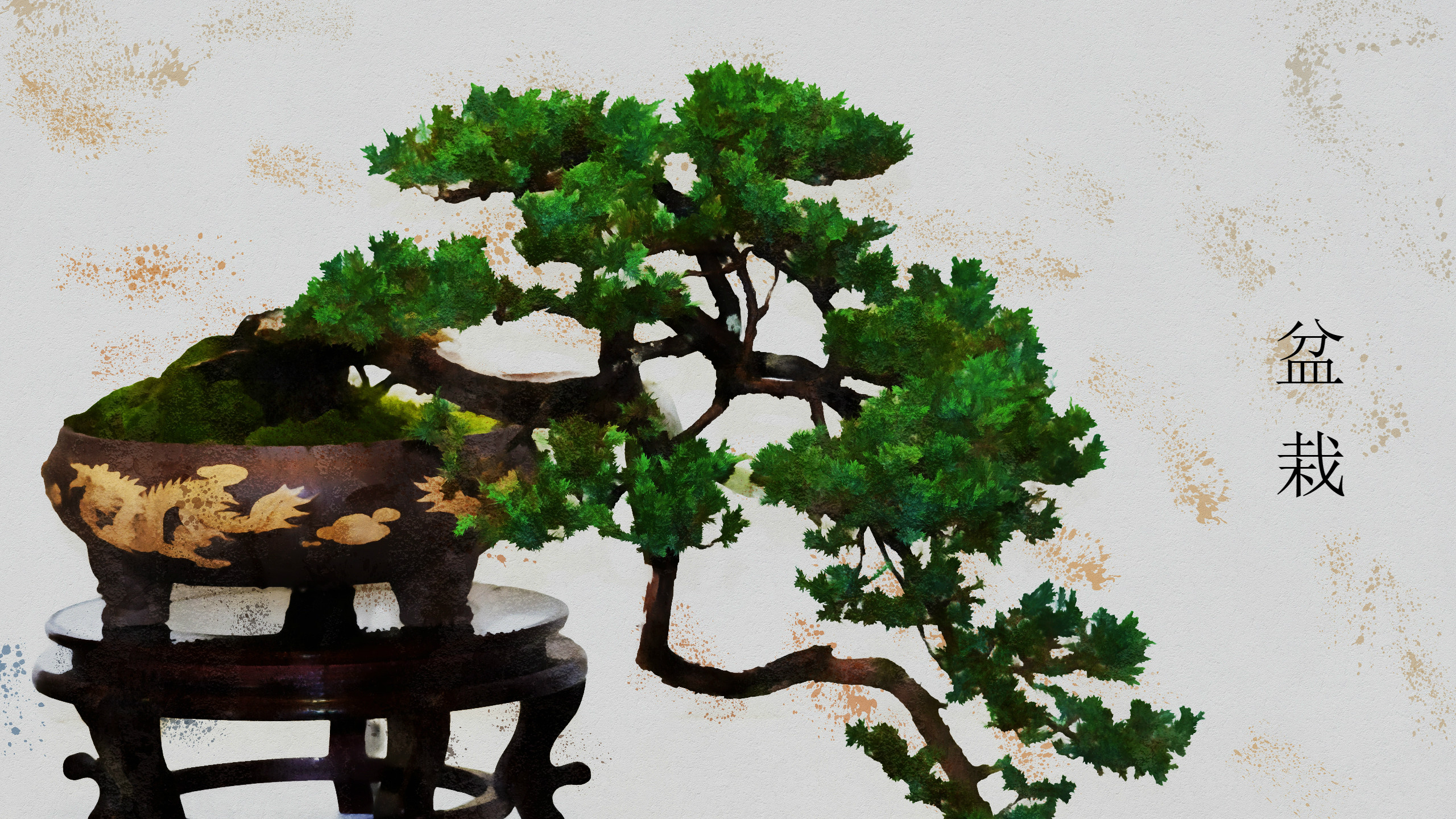 2560x1440 Earth - Bonsai Tree Plant Artistic Pot Plant Wallpaper