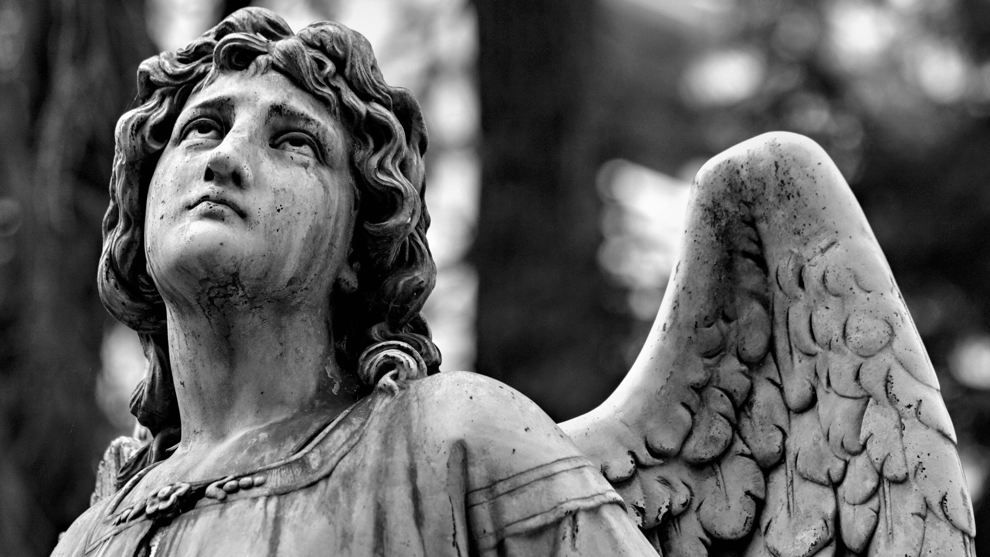 3200x1800 ... WallpaperSafari Weeping Angels wallpapers. Set it to change every few  seconds for .