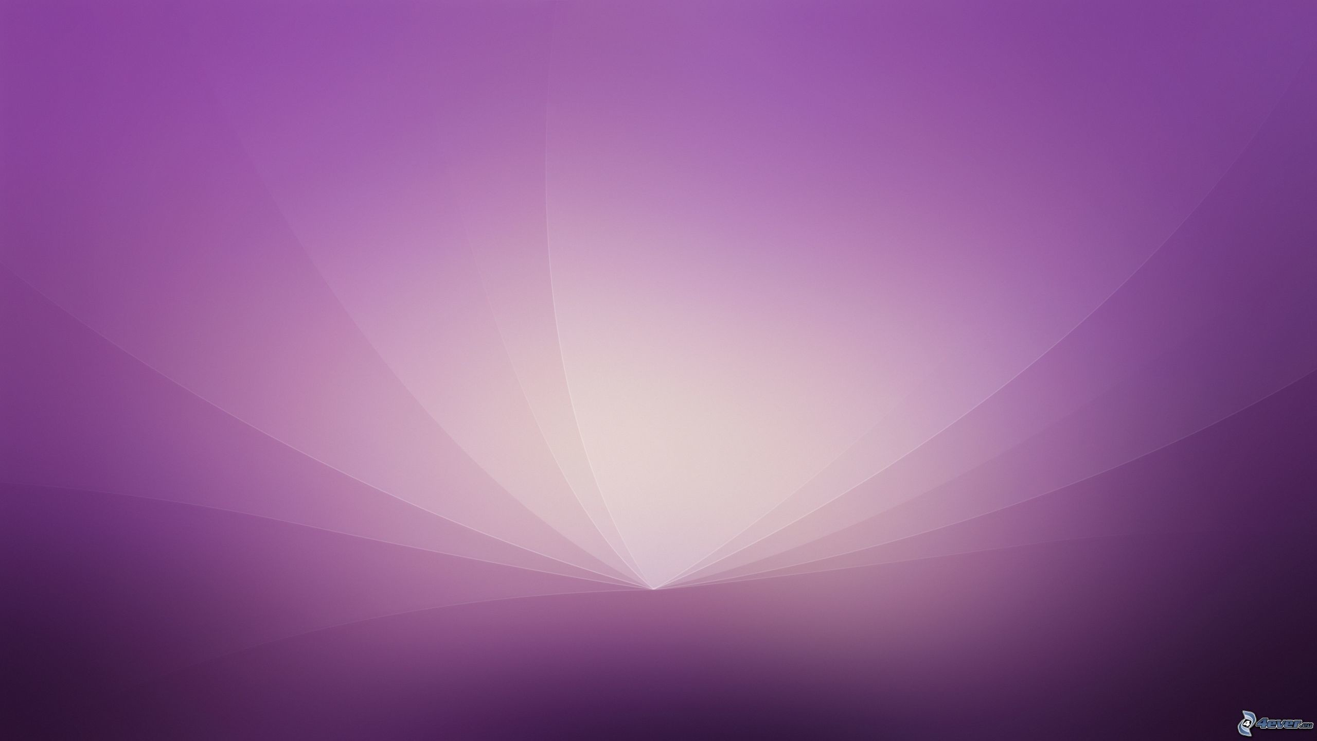 2560x1440 Purple Design wallpaper