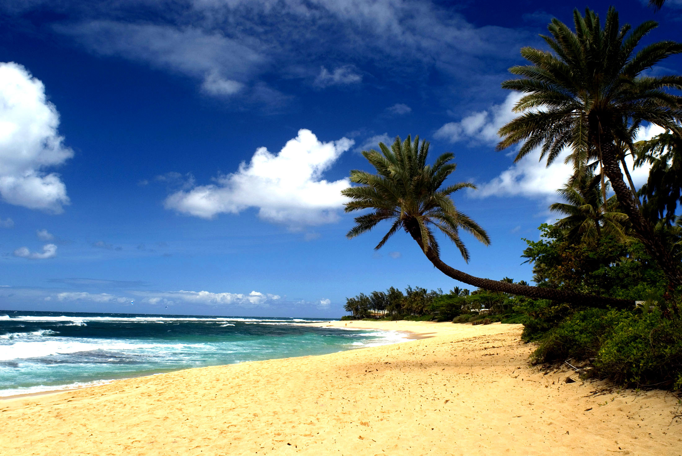 2200x1473 Hawaiian Beach Sand