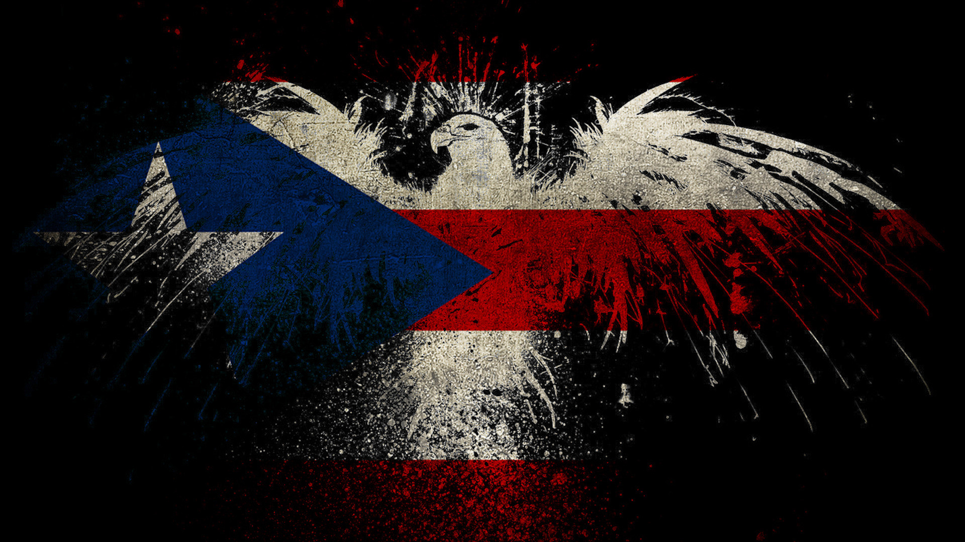 1920x1080 Eagle shaped Puerto Rico flag HD Wallpaper  Eagle ...