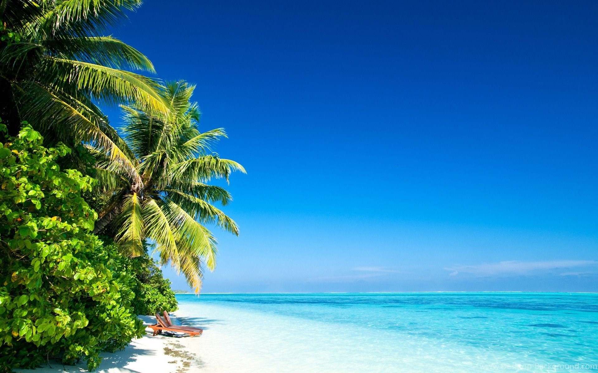 1920x1200 Beaches: Beautiful Place Blue Sky Palms Beach Desktop Backgrounds .