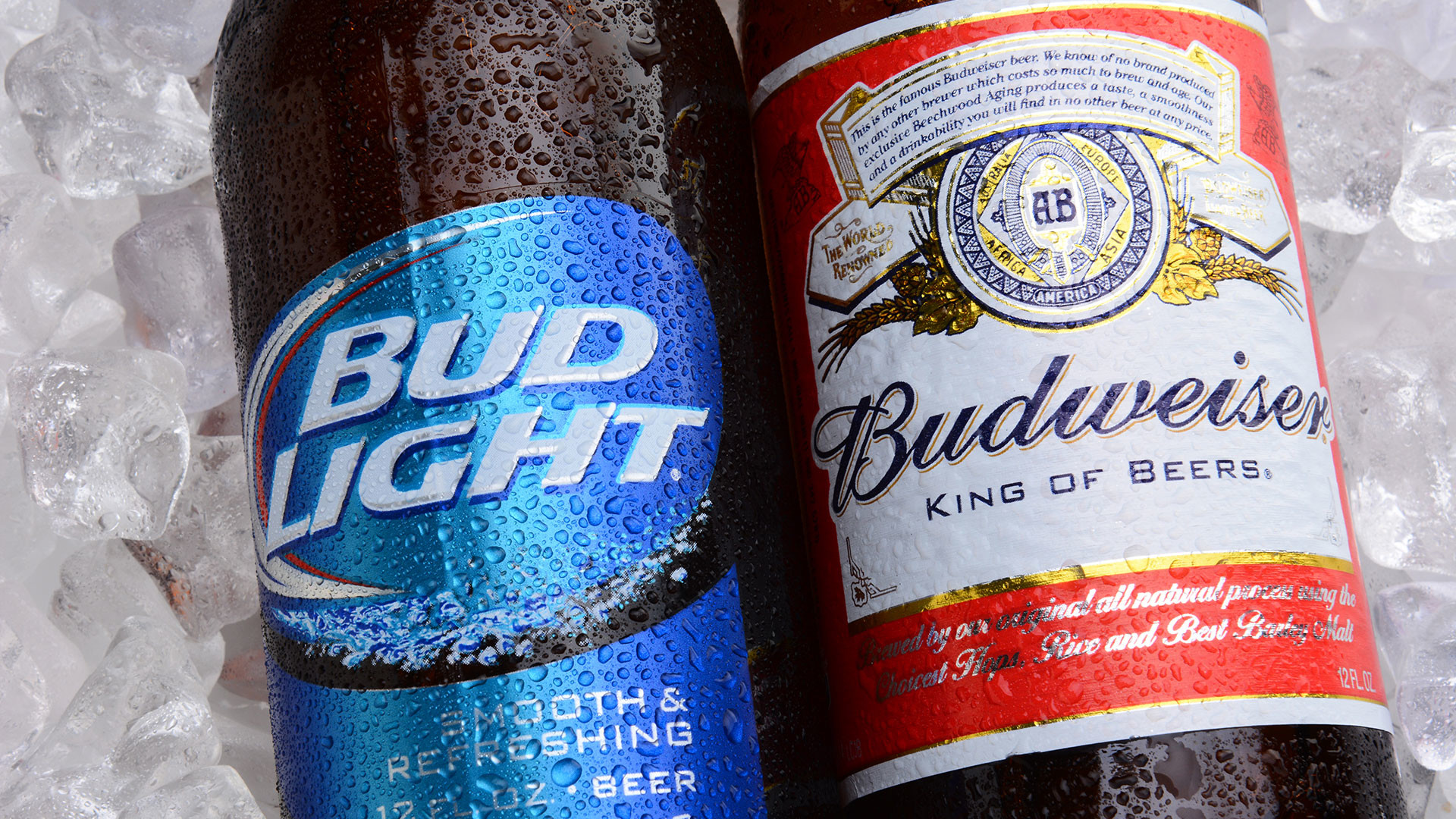 Bud Light Wallpapers (46+ images)