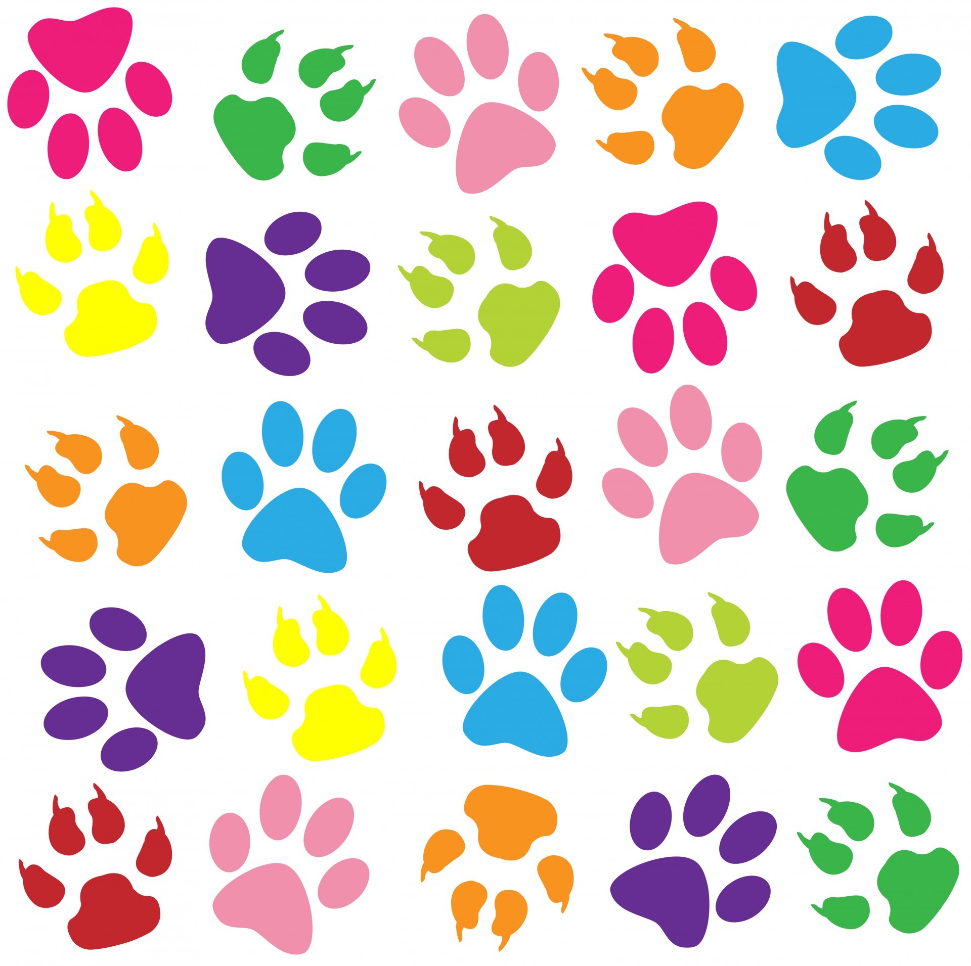 1920x1911 Paw Prints Colorful Background