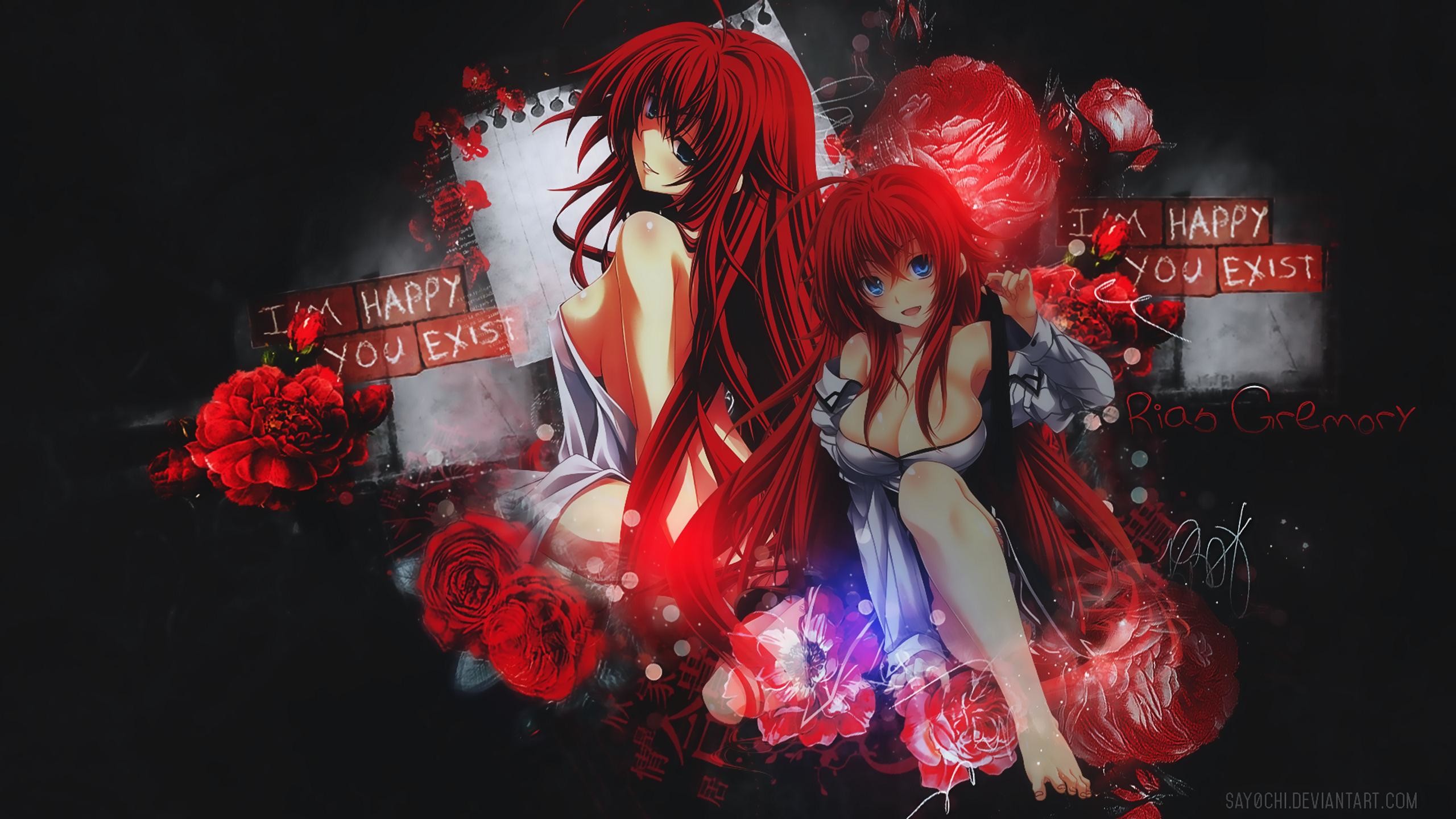 2560x1440 Never Search For A High School DxD Wallpaper Again! HD Wallpaper From  Gallsource.com