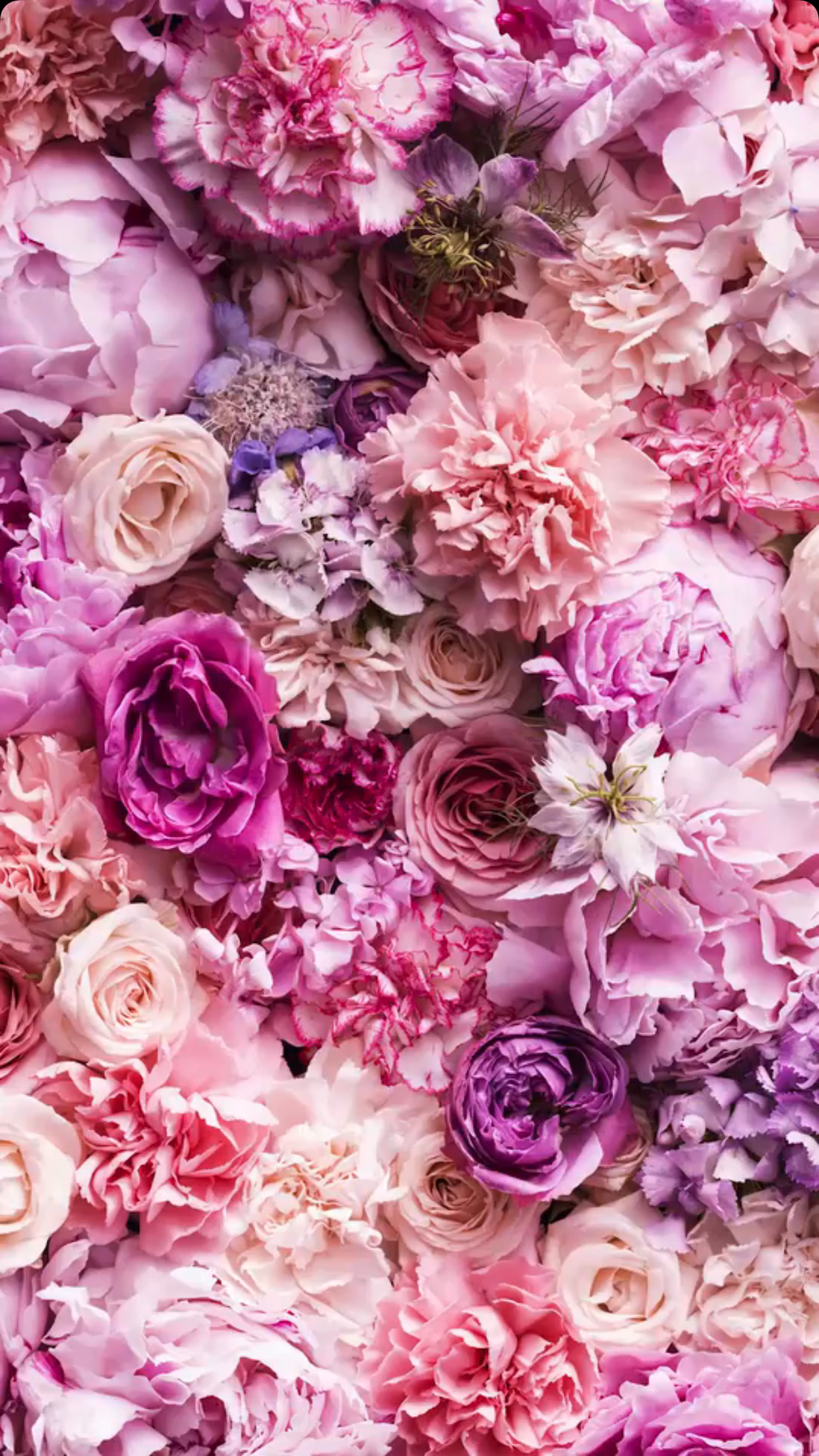 Unduh 32 Iphone Wallpaper With Flowers Gambar Populer Terbaik - Posts.id