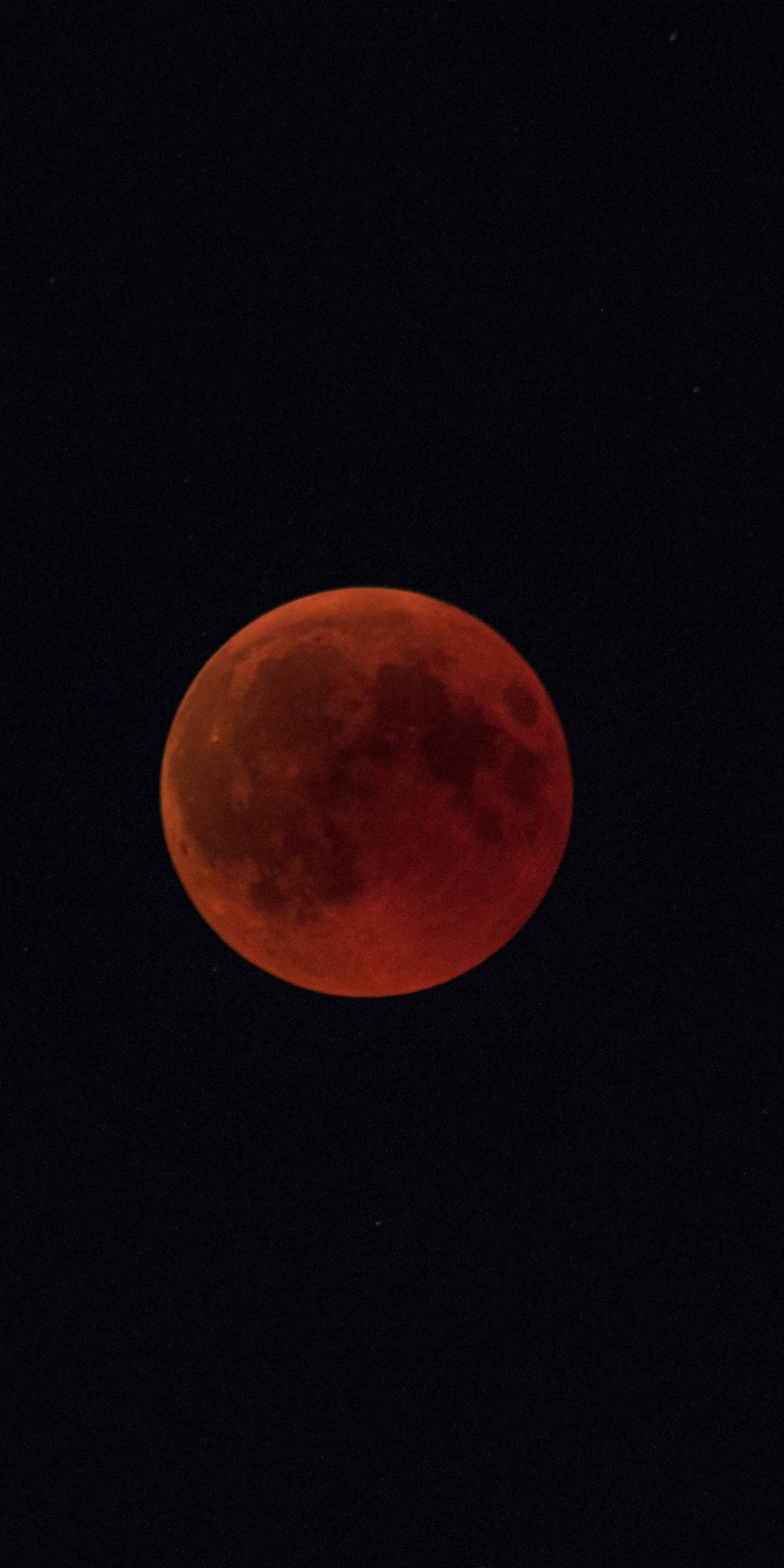 Lunar Eclipse Photos Download The BEST Free Lunar Eclipse Stock Photos   HD Images
