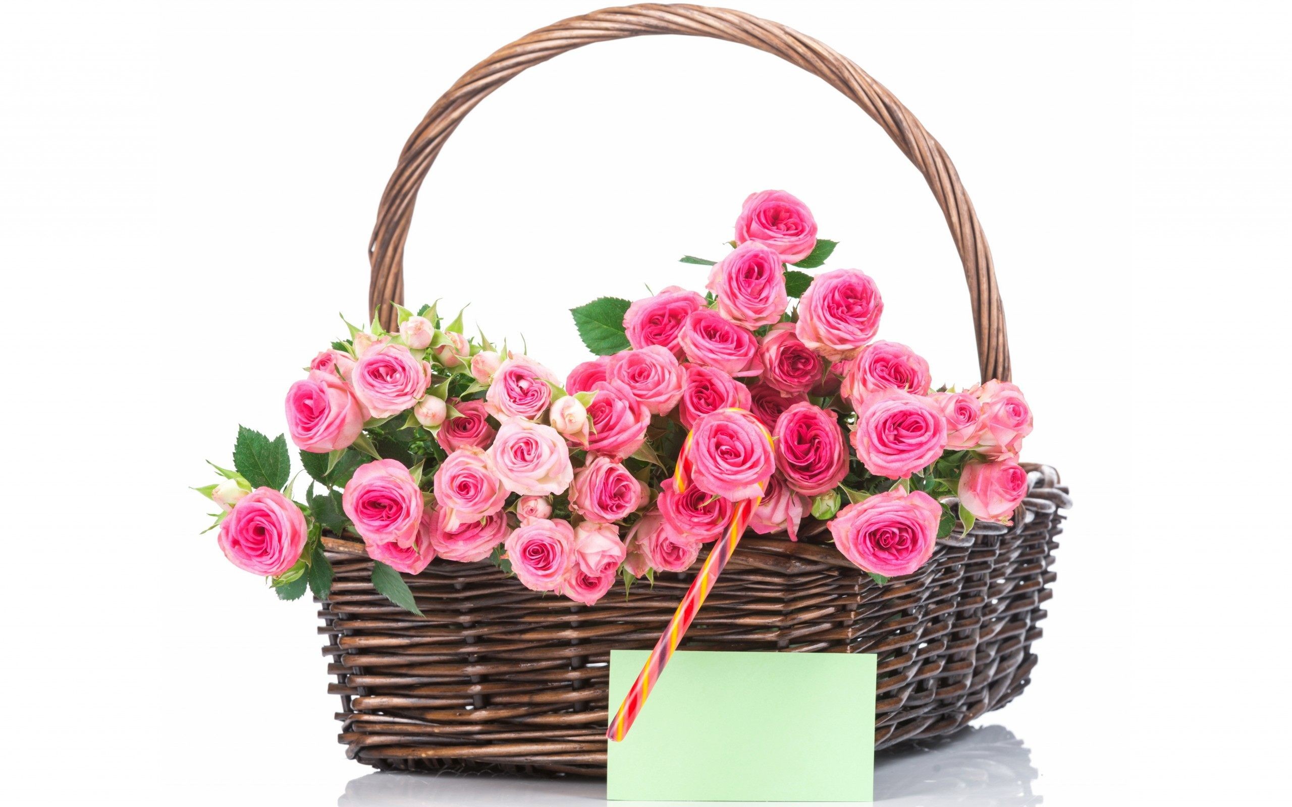 2560x1600 Pink Flower Basket HD Wallpaper