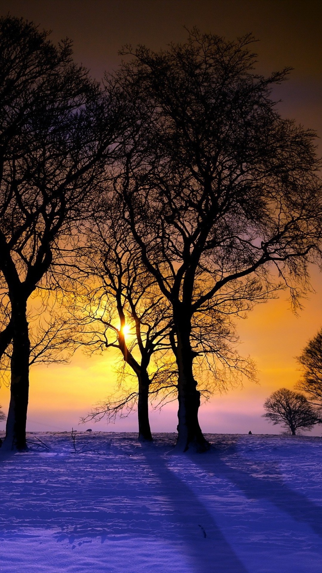 1080x1920 Download Wallpaper  sunset, winter, trees, landscape Sony Xperia  Z1, ZL,