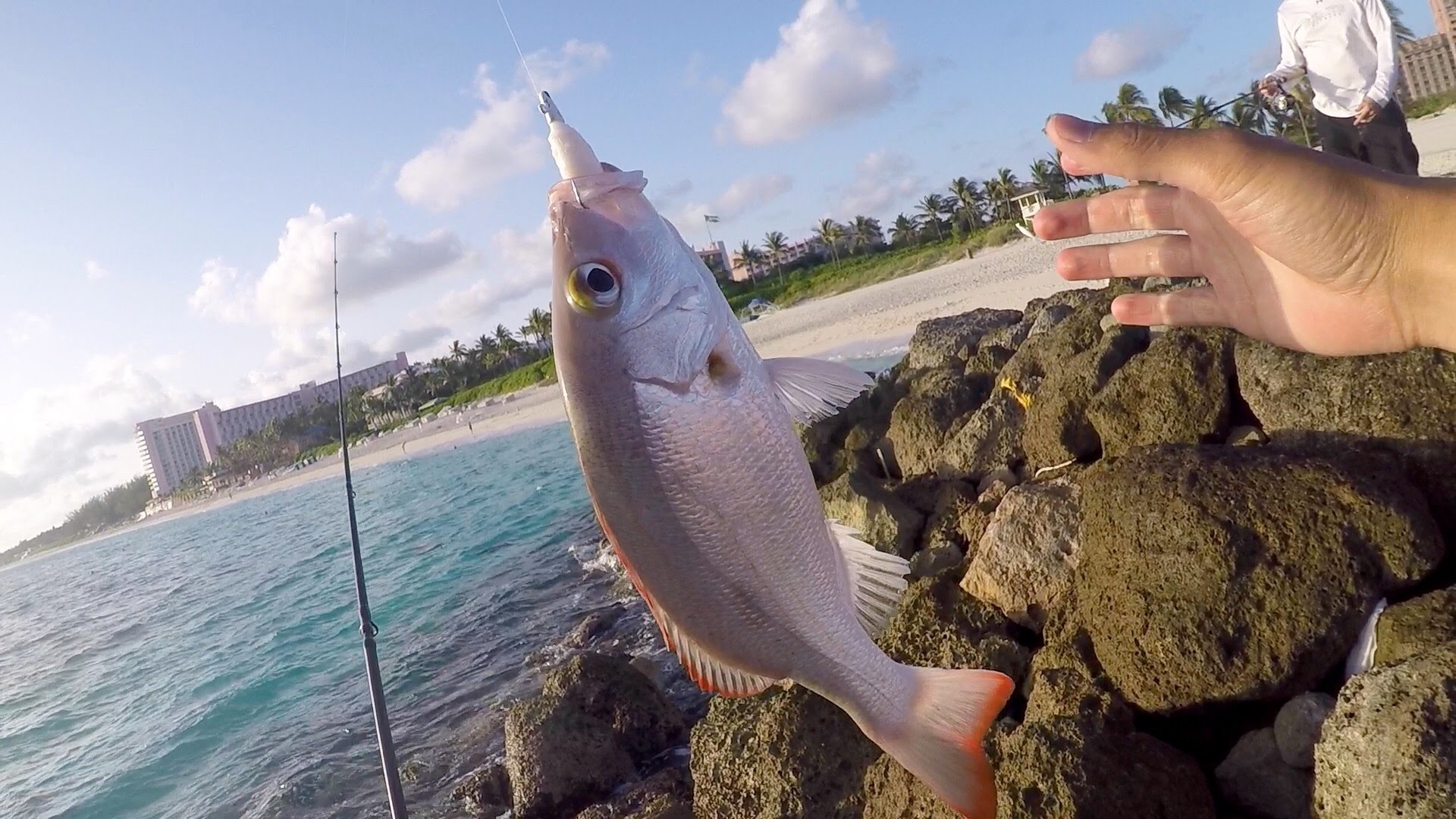1920x1080 Saltwater Fishing gets me HYPED!!! Beach Fishing in the Bahamas - YouTube