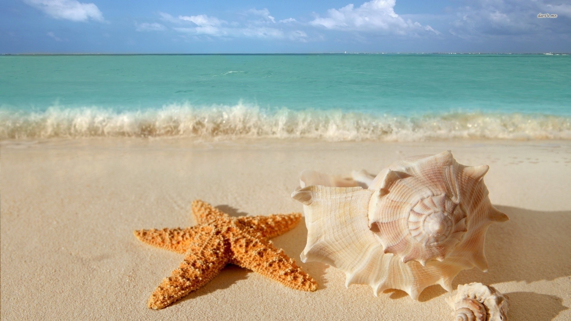 1920x1080 Beach Shells Pictures | Starfish and shells on the beach wallpaper