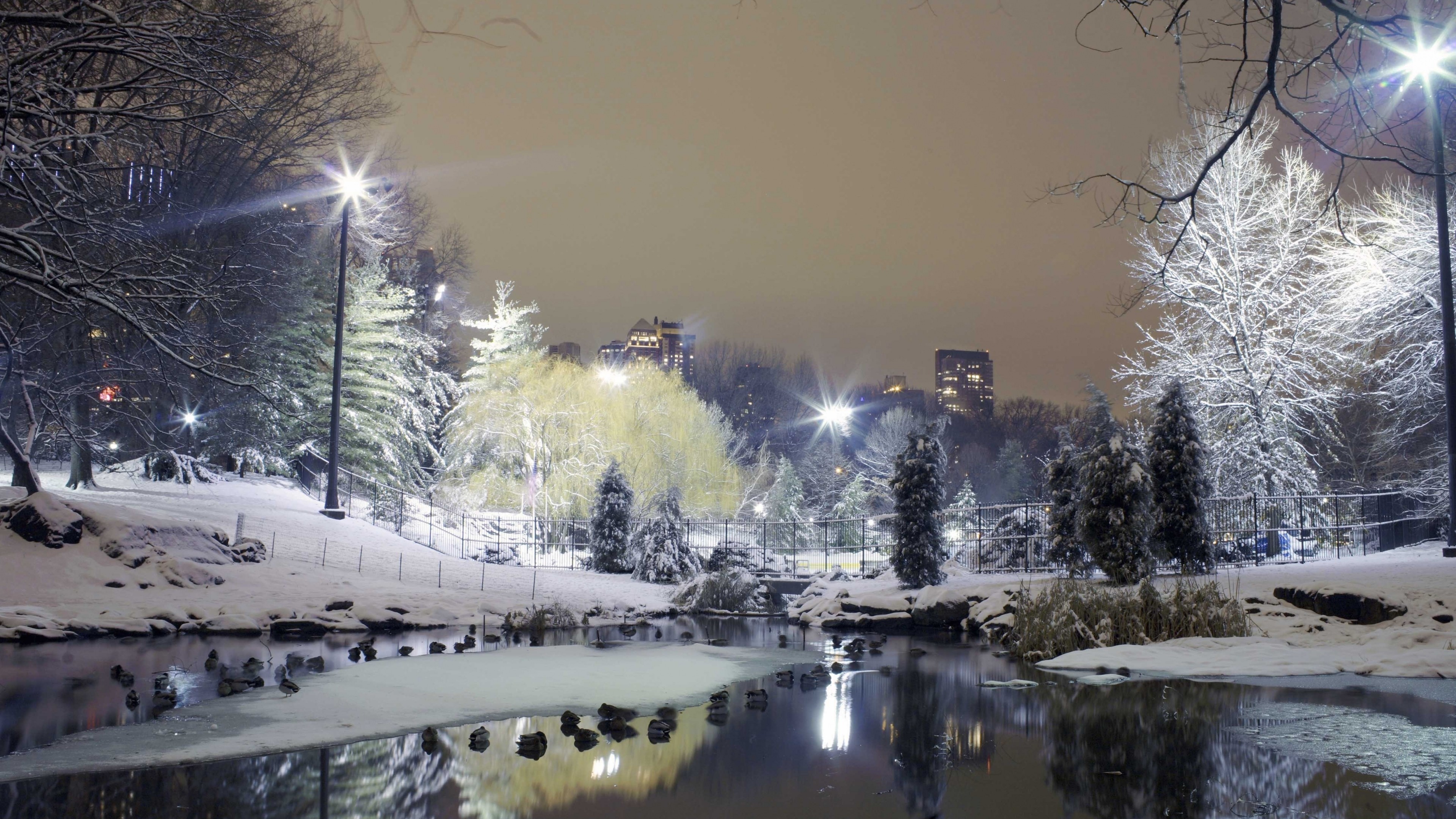 3840x2160  Wallpaper city , park, trees, winter, snow, lights
