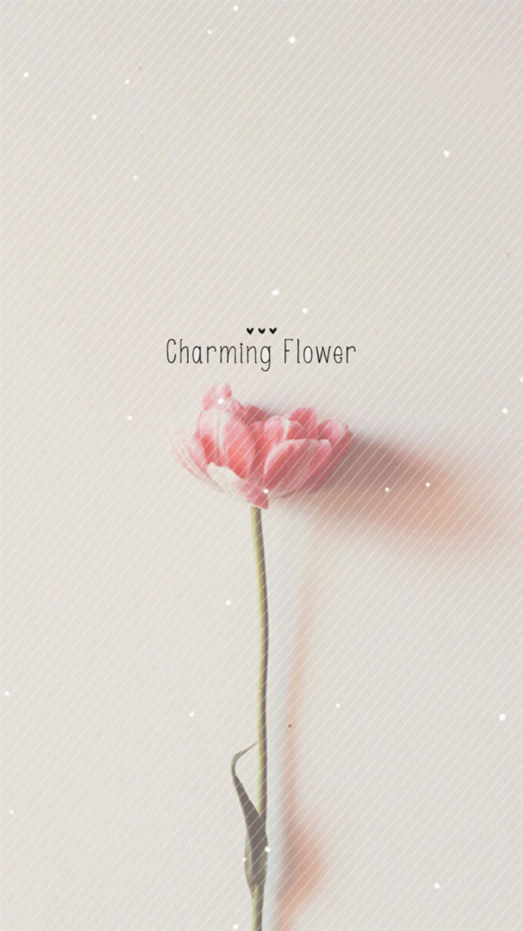 1080x1920 Flowers hd wallpaper for android phone home screen wallpaper. Â«Â«