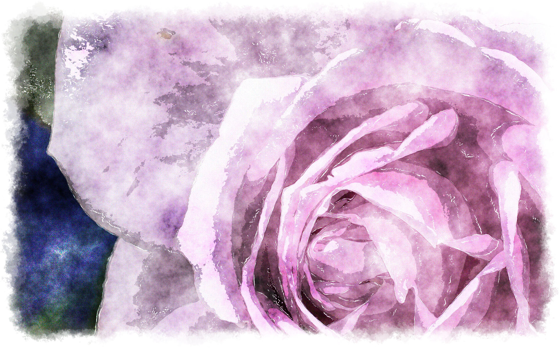 1920x1199 purple rose watercolor