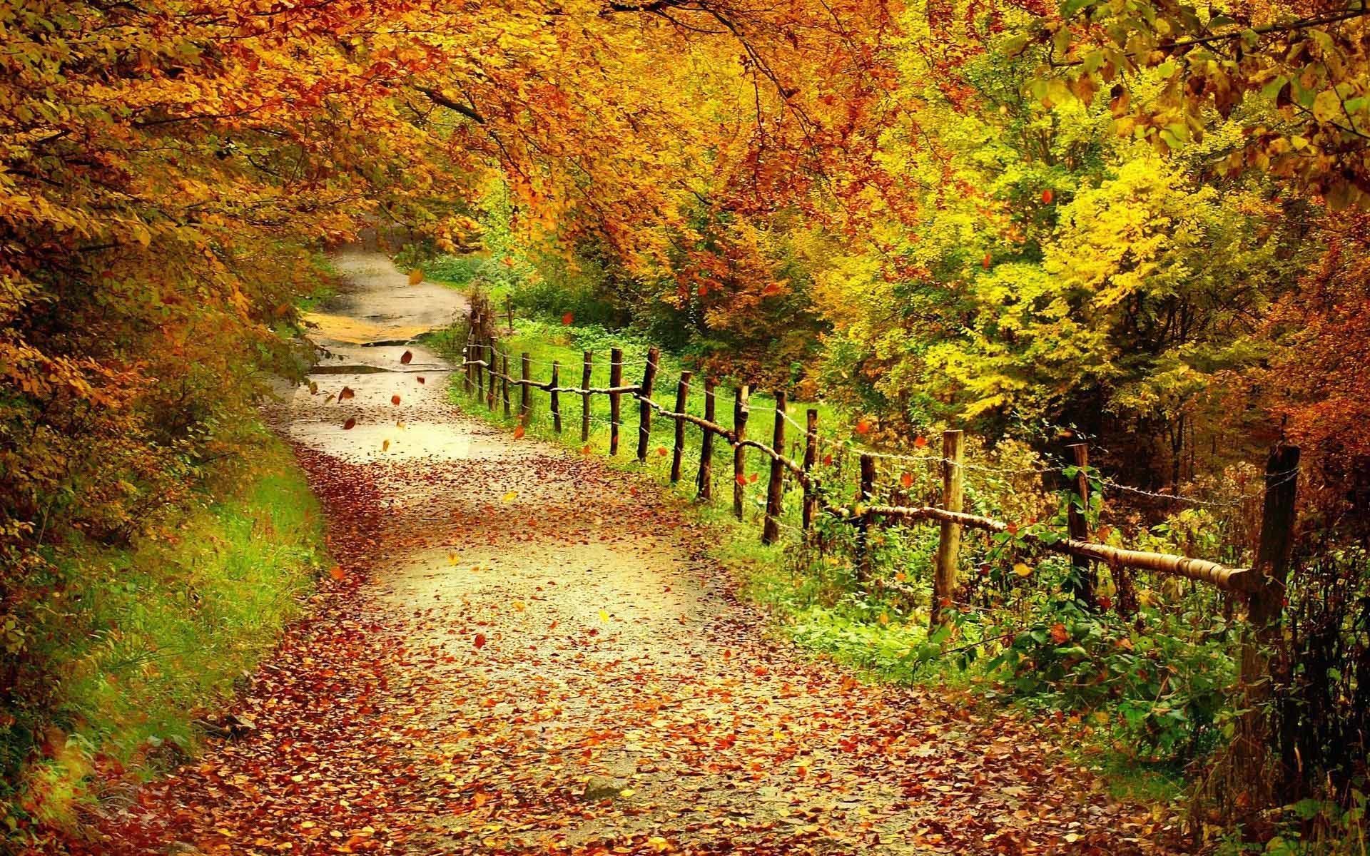 1920x1200 ... Nature Wallpaper: Autumn Scenery Wallpaper Background with ...